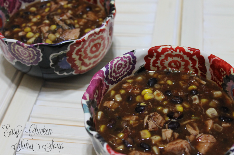 Rotisserie Chicken Salsa Soup Glitter, Inc.