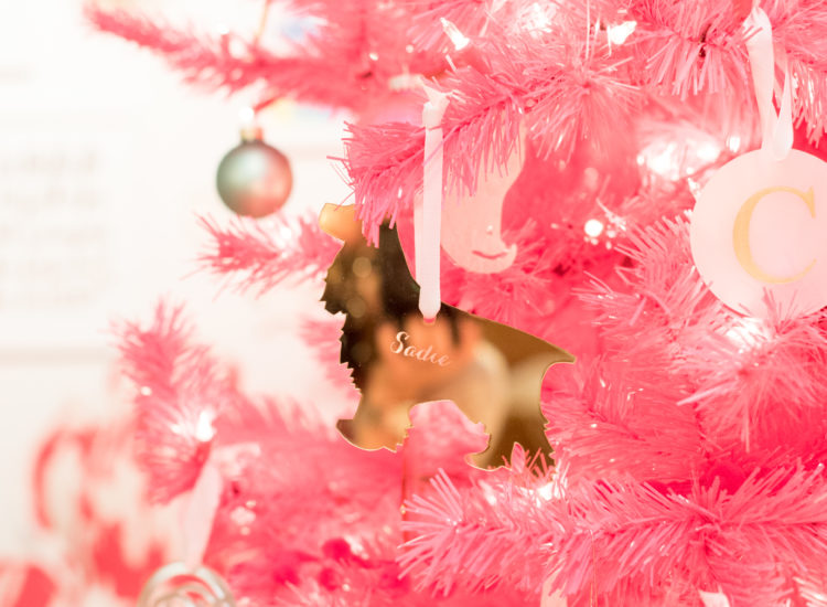 Moon & Lola Downtown Raleigh Pink Christmas Holiday Party