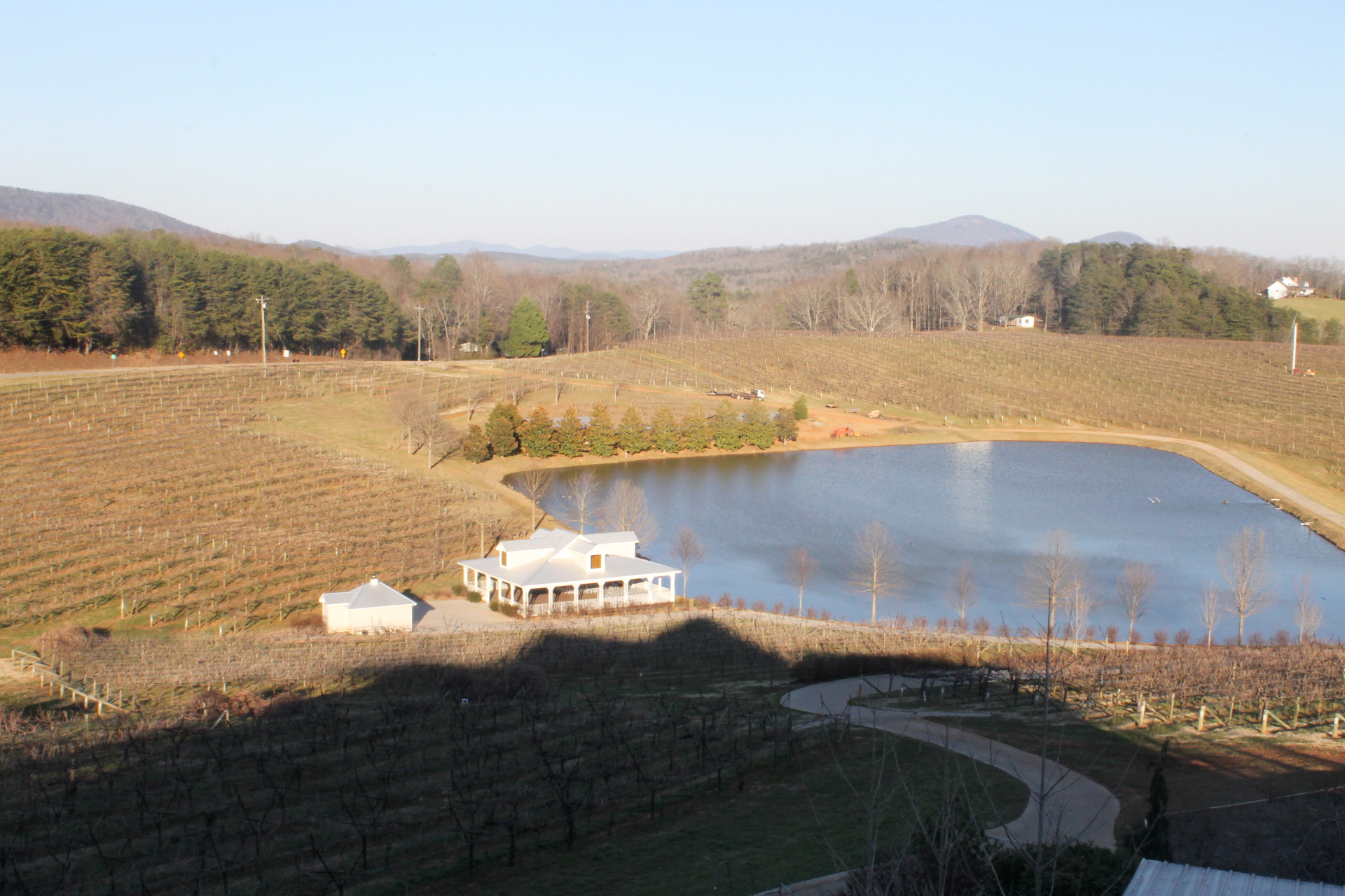 Frogtown Winery and Vineyard