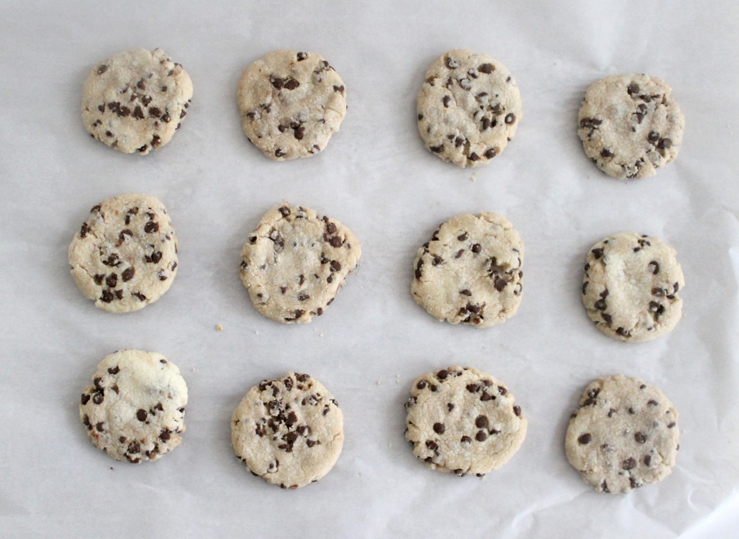 The Best Vegan Chocolate Chip Cookies you will ever have! (These chocolate chip cookies don't use any eggs, milk, or butter, and still miraculously taste just like classic homemade chocolate chip cookies!)