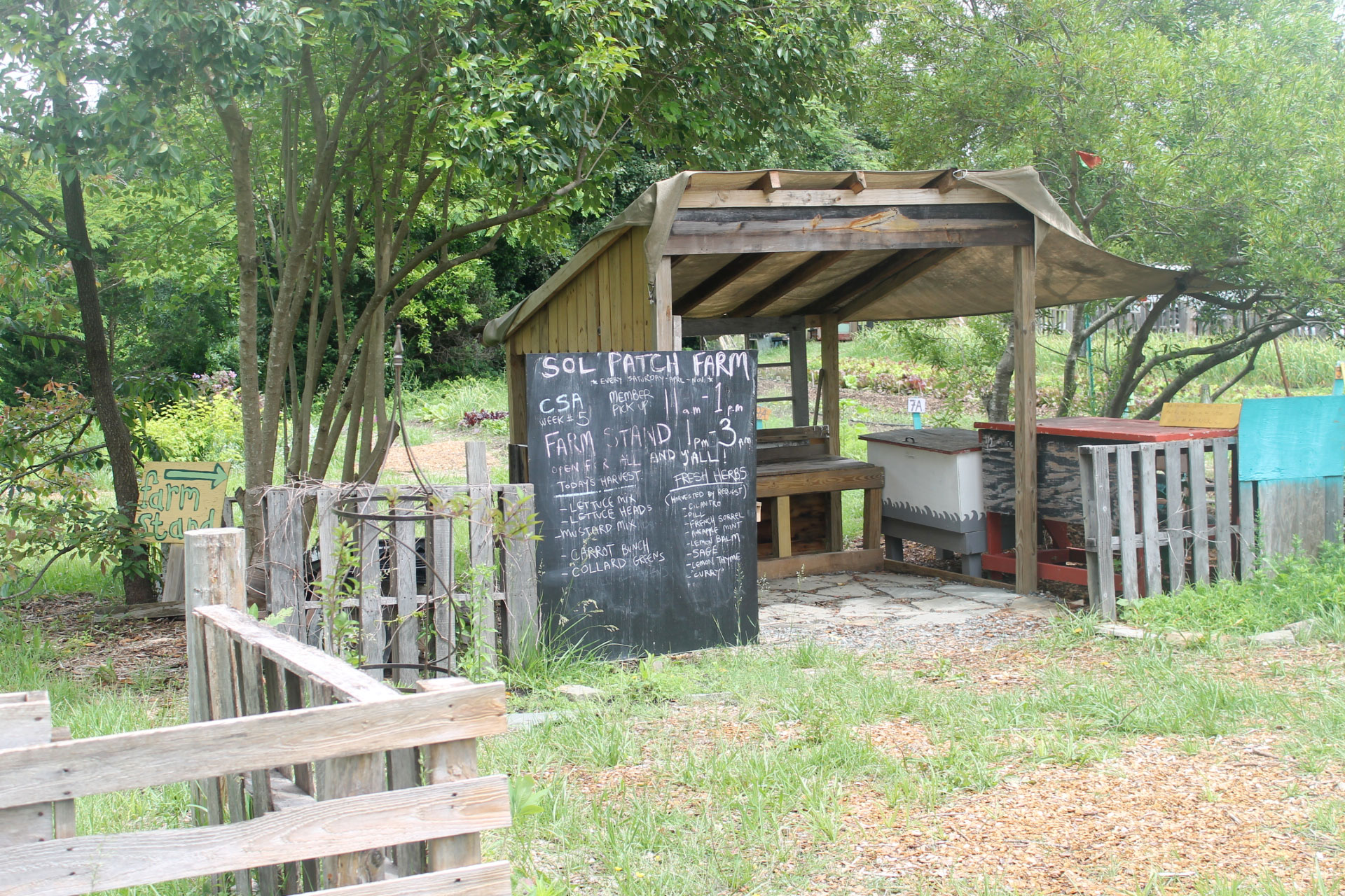 Exploring Durham: Family Fun at Foster's Market and Sol Food Mobile Farm