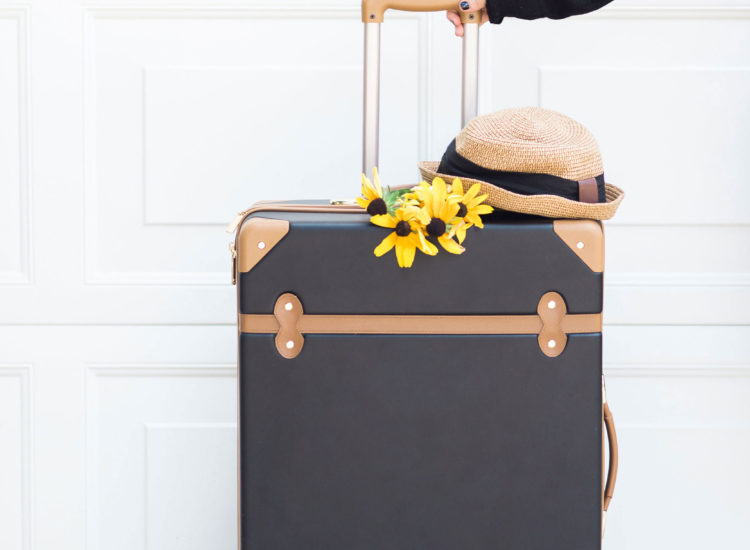 DVF Luggage for Travel - Vacation Style
