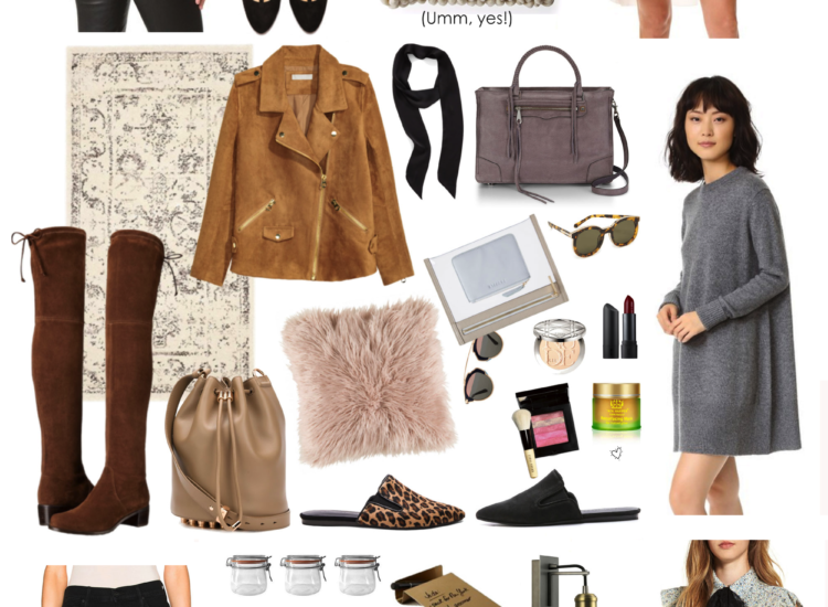 Confessions of a Shopaholic: Early Fall Edition