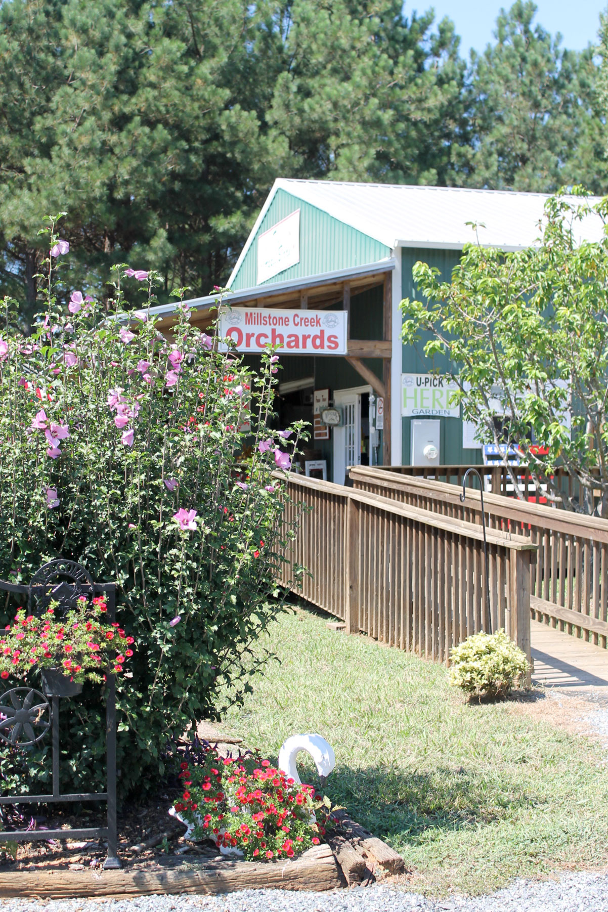 Guide to Millstone Creek Orchards in North Carolina - Taking Your Kids