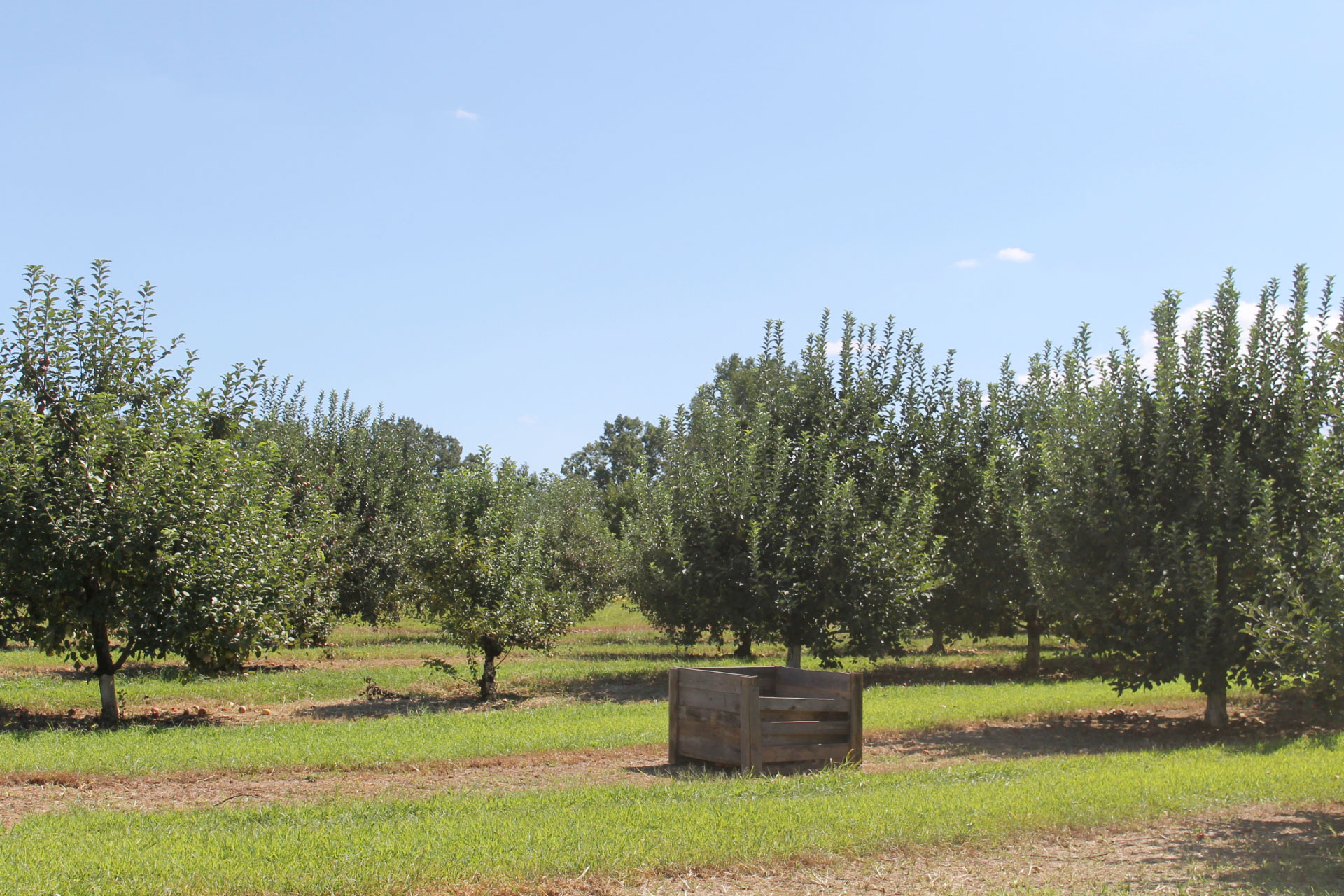 Guide to Millstone Creek Orchards in North Carolina