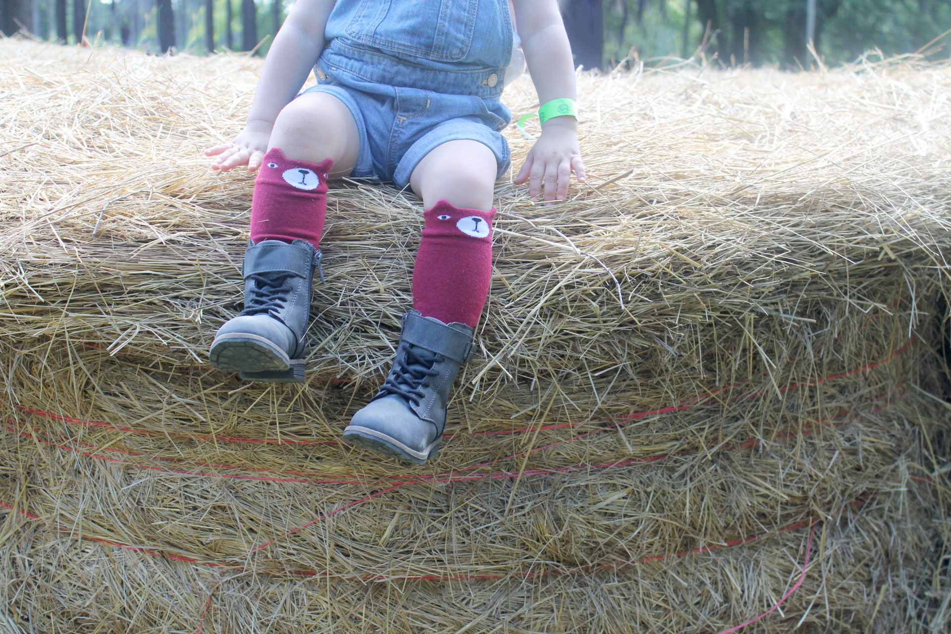 Scarlett's-legs-on-hay