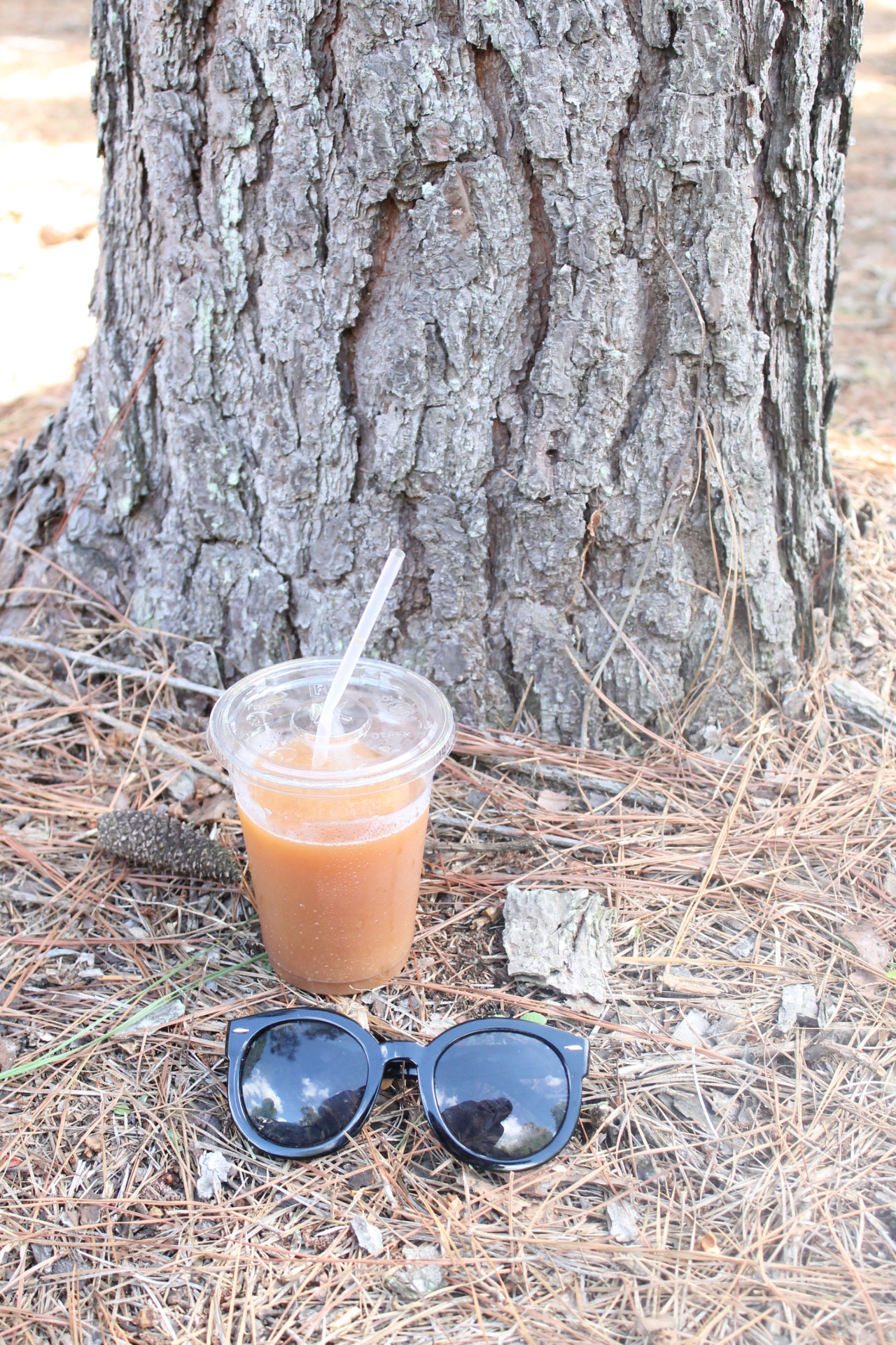 Guide to Millstone Creek Orchards in North Carolina - famous apple cider slushies