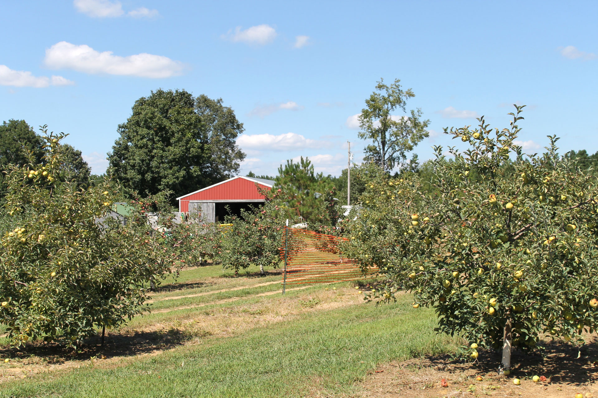 Guide to Millstone Creek Orchards in North Carolina