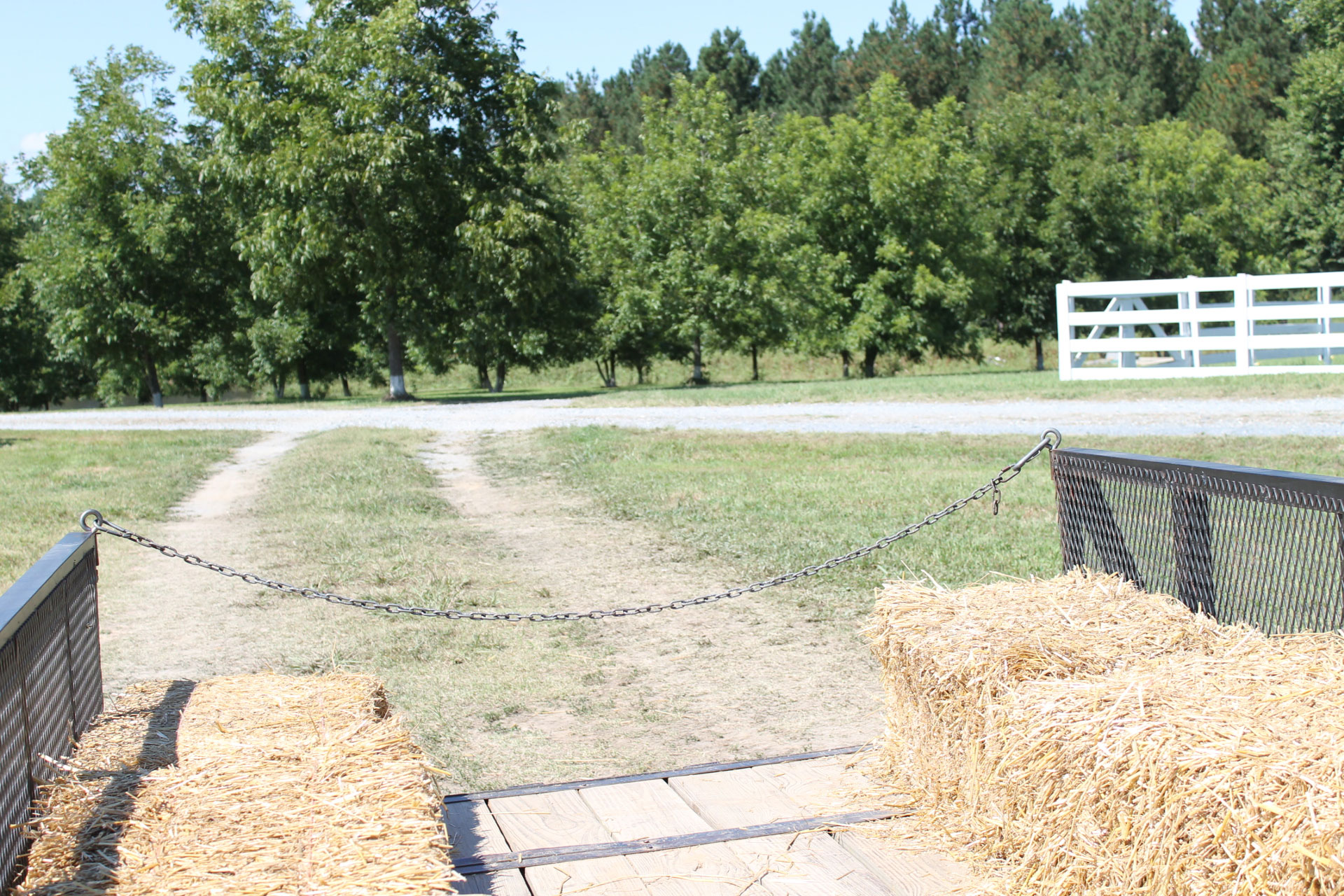 Guide to Millstone Creek Orchards in North Carolina - hayride