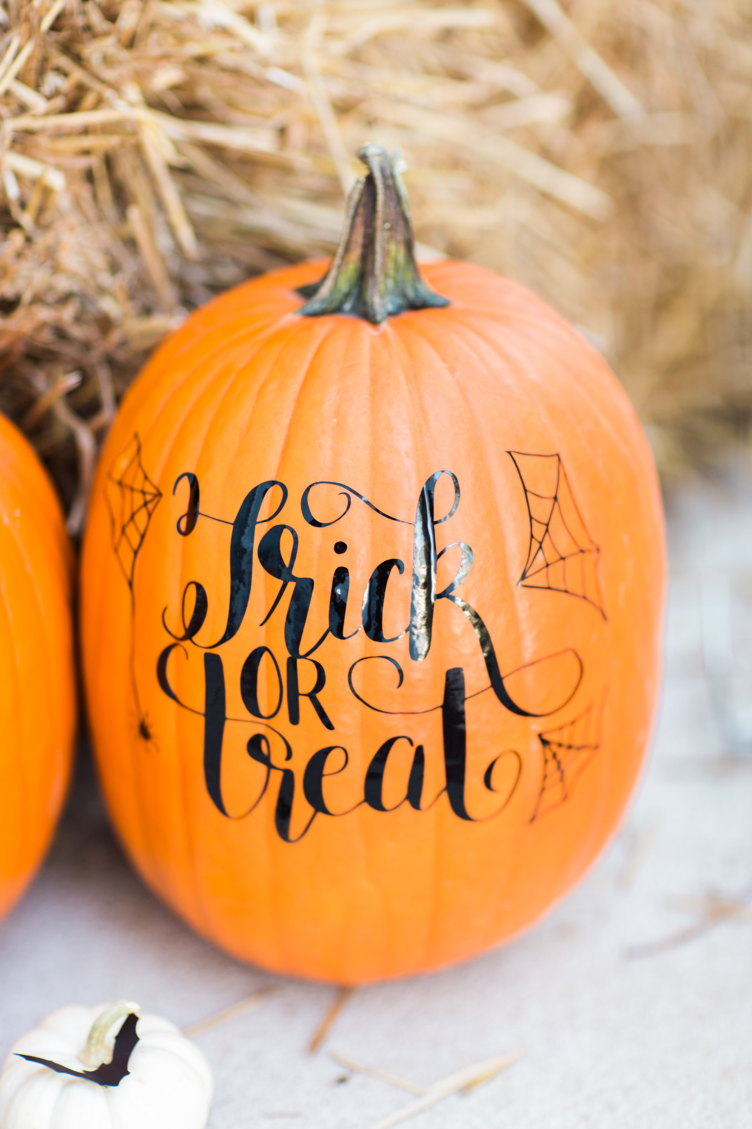 I'm revealing our Halloween Front Porch for Fall and details about how to decorate your own! Click through for the details. | glitterinc.com | @glitterinc