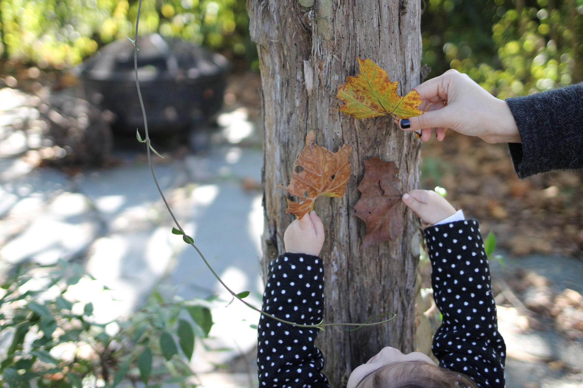 Chapel Hill, NC in the Fall | glitterinc.com | @glitterinc