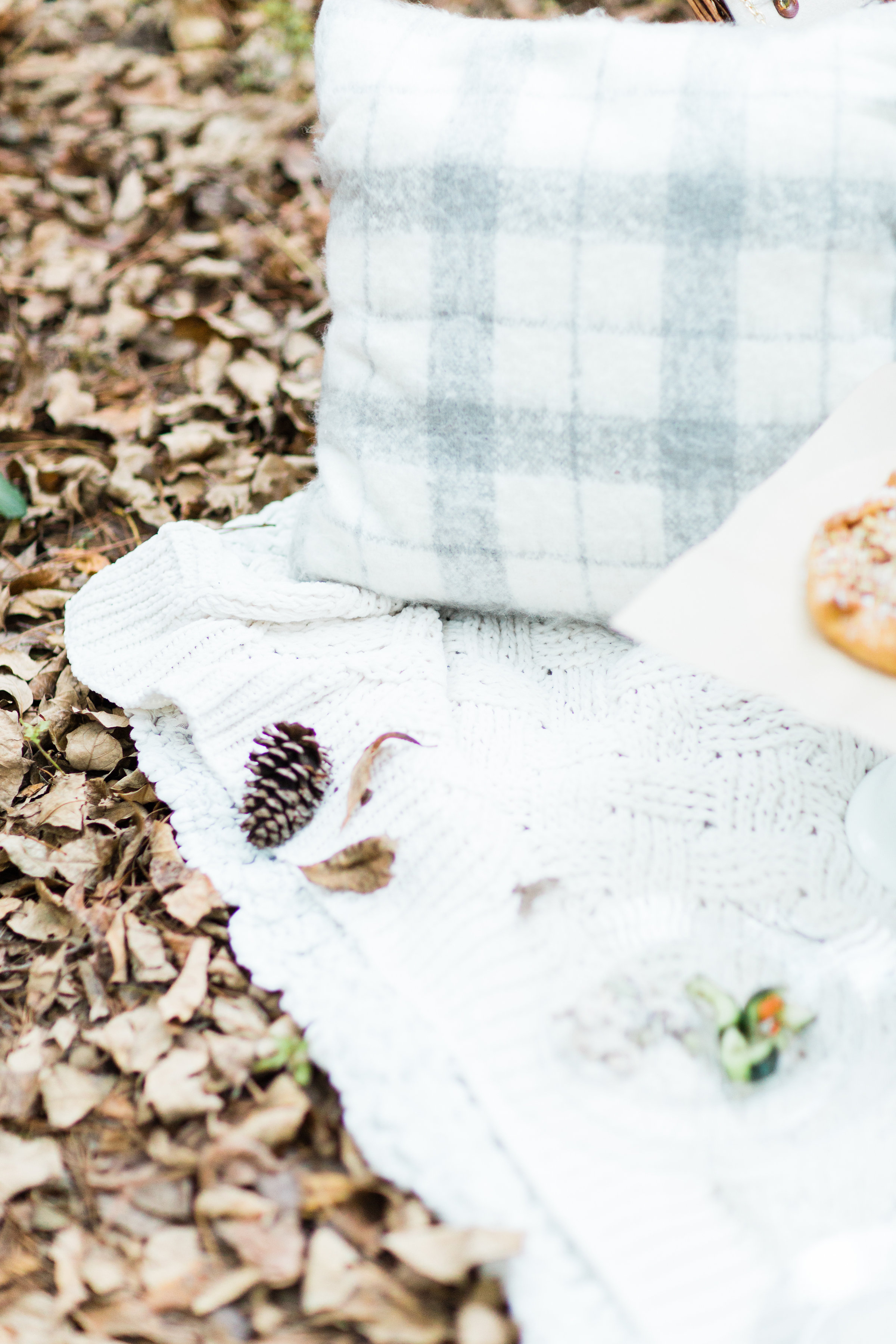 How to Throw a Picnic This Holiday Season. Click through for the details. | glitterinc.com | @glitterinc