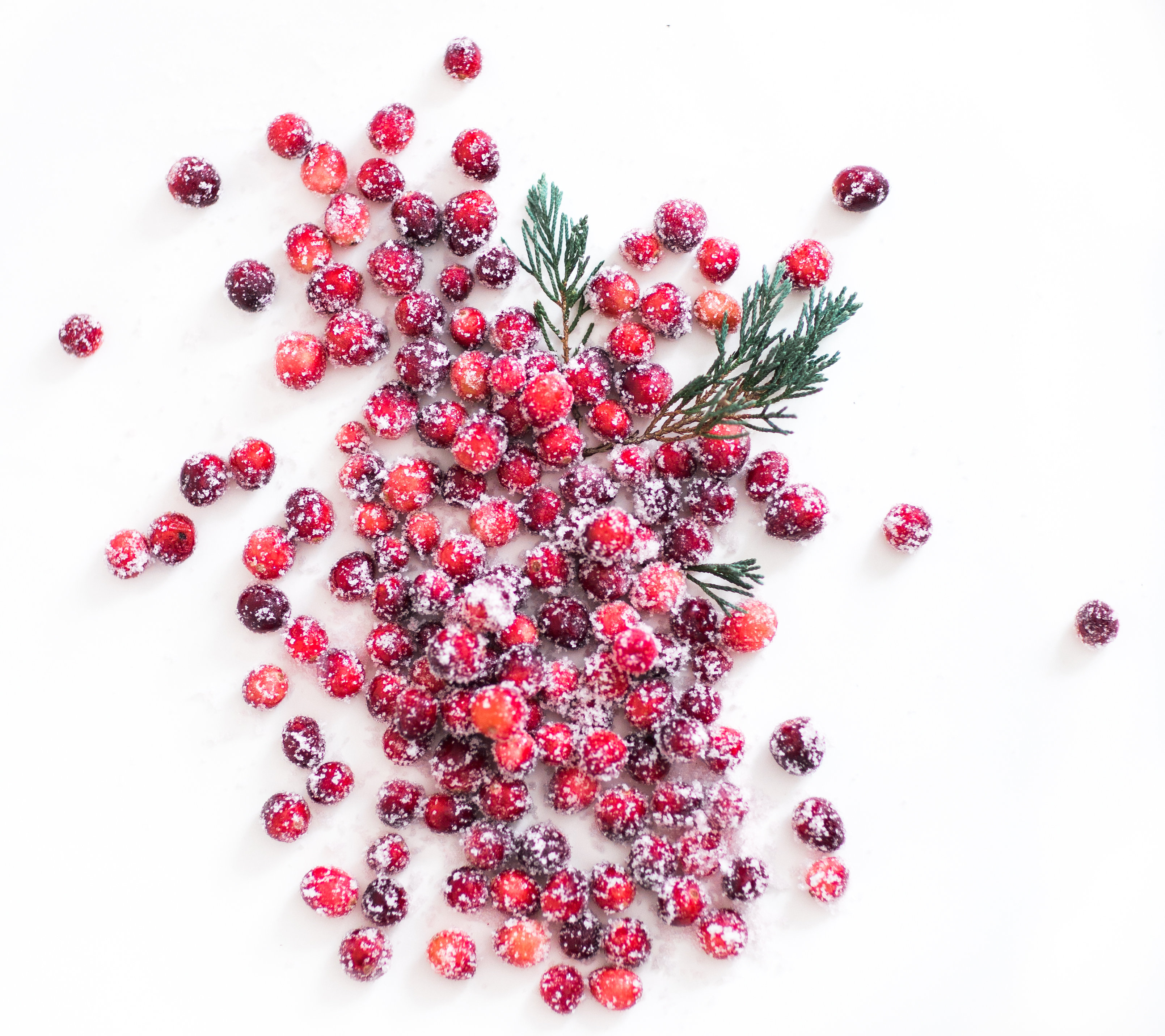 How to make sparkling sugared cranberries for the Holidays that are super simple to make (just two ingredients!) and perfect for dressing up desserts, cheese boards, and cocktails! | glitterinc.com | @glitterinc