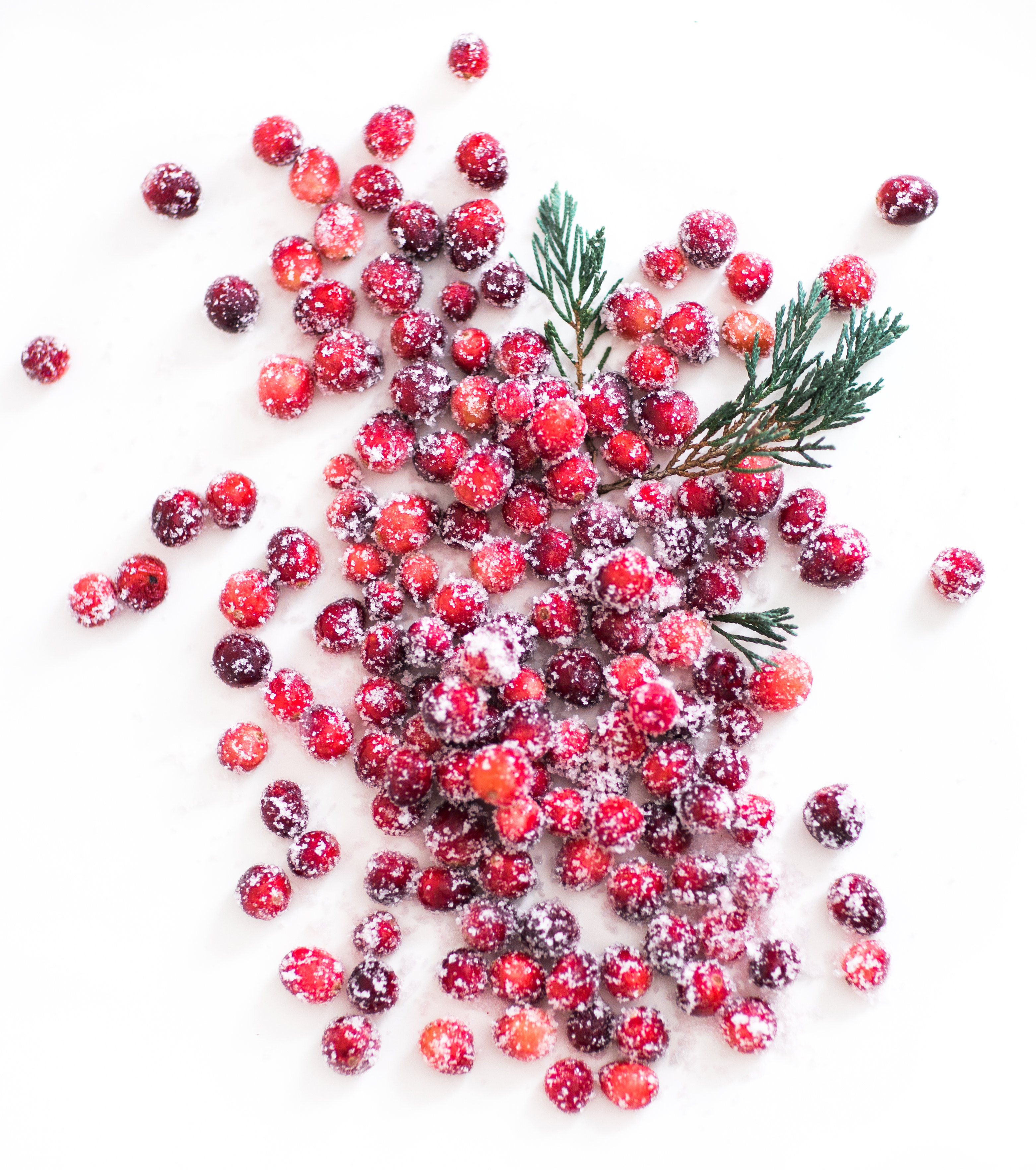 How to make sparkling sugared cranberries for the Holidays that are super simple to make (just two ingredients!) and perfect for dressing up desserts, cheese boards, and cocktails! | glitterinc.com | @glitterinc