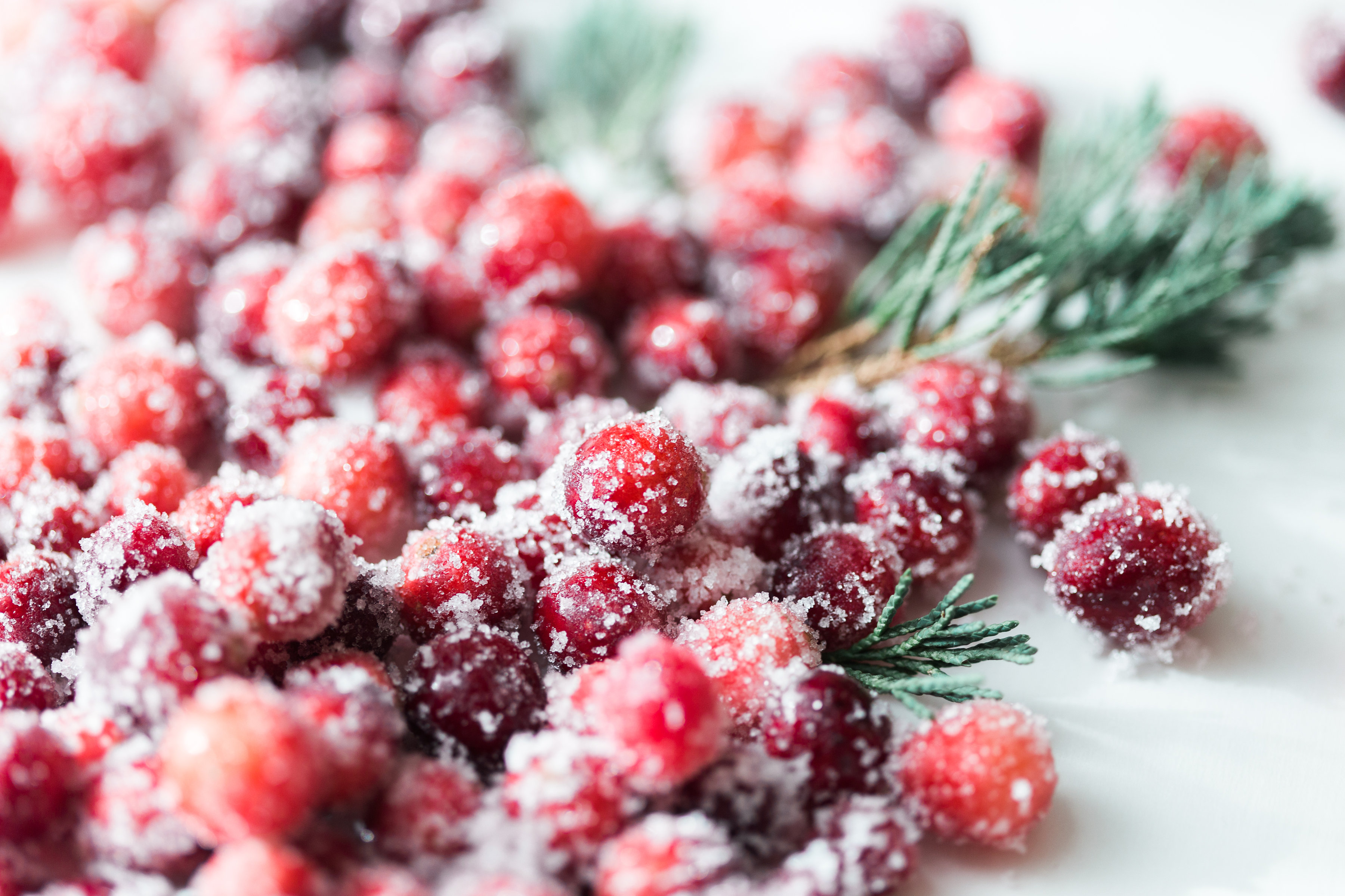 How to make sparkling sugared cranberries for the Holidays that are super simple to make (just two ingredients!) and perfect for dressing up desserts, cheese boards, and cocktails! | glitterinc.com | @glitterinc