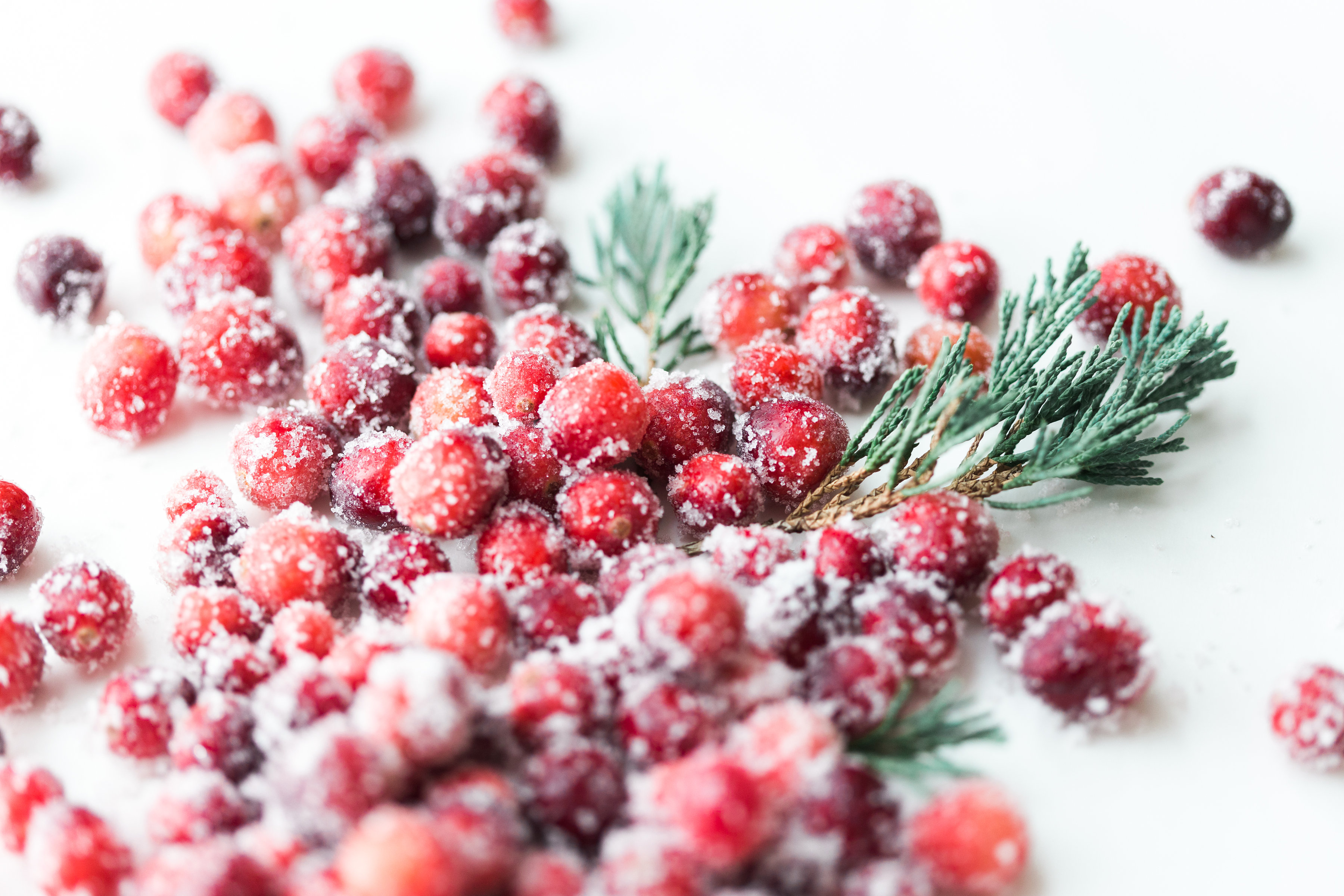 How to make sparkling sugared cranberries for the Holidays that are super simple to make (just two ingredients!) and perfect for dressing up desserts, cheese boards, and cocktails! | glitterinc.com | @glitterinc