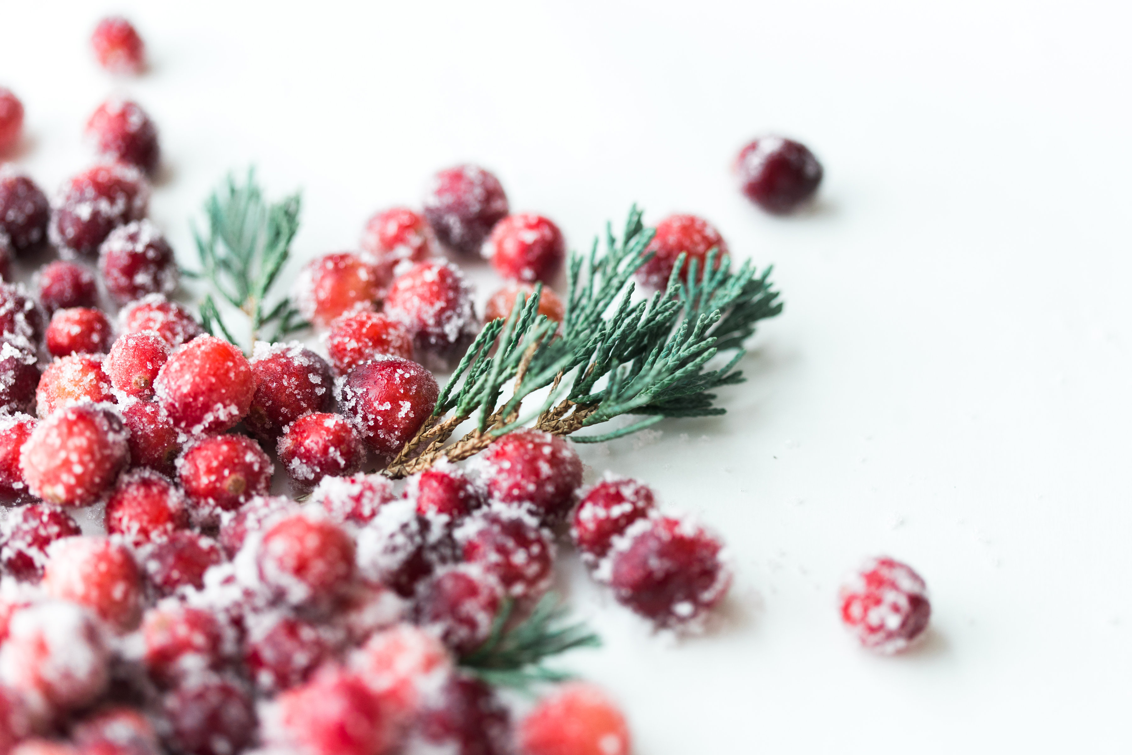 How to make sparkling sugared cranberries for the Holidays that are super simple to make (just two ingredients!) and perfect for dressing up desserts, cheese boards, and cocktails! | glitterinc.com | @glitterinc