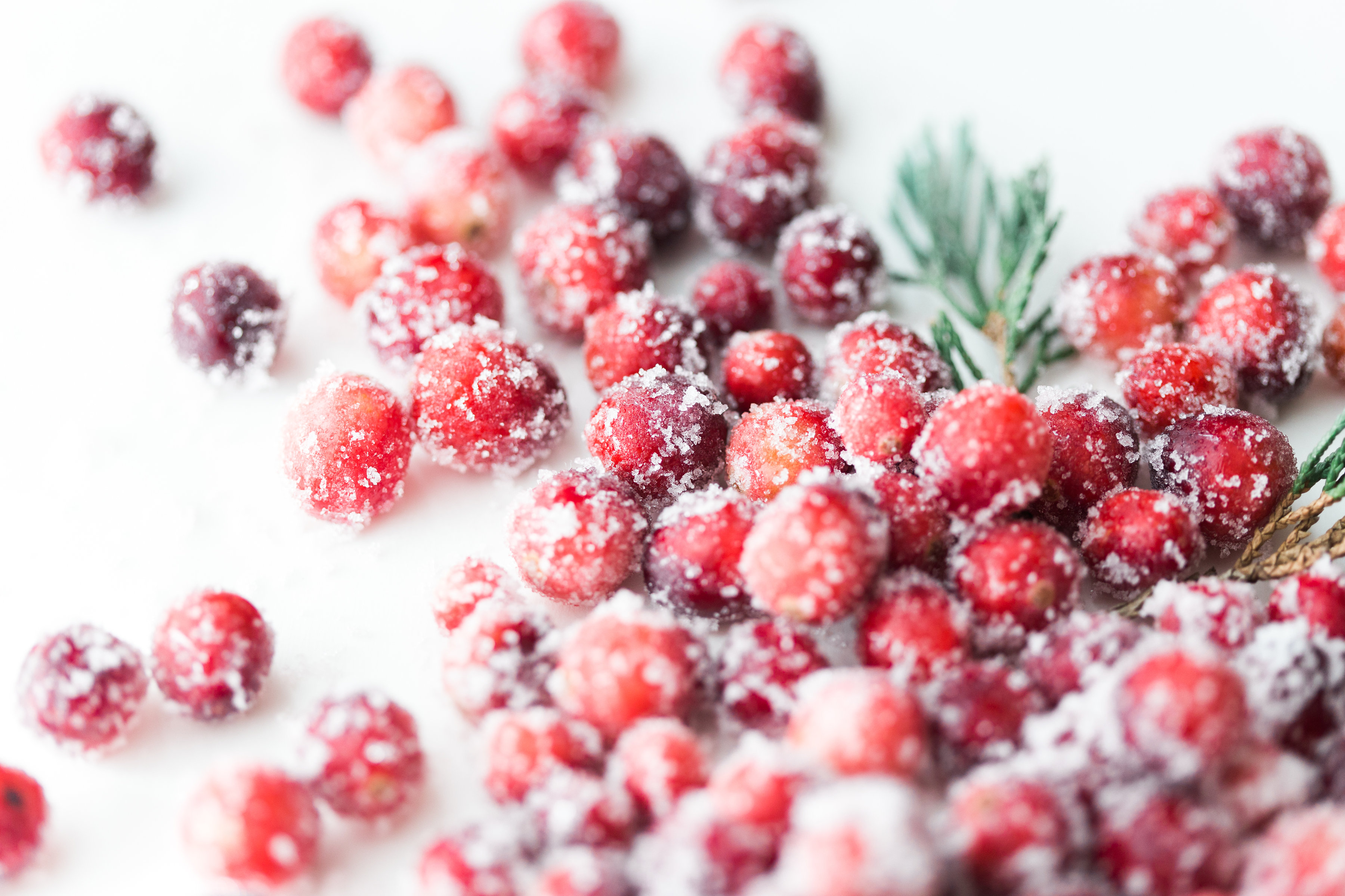 How to make sparkling sugared cranberries for the Holidays that are super simple to make (just two ingredients!) and perfect for dressing up desserts, cheese boards, and cocktails! | glitterinc.com | @glitterinc