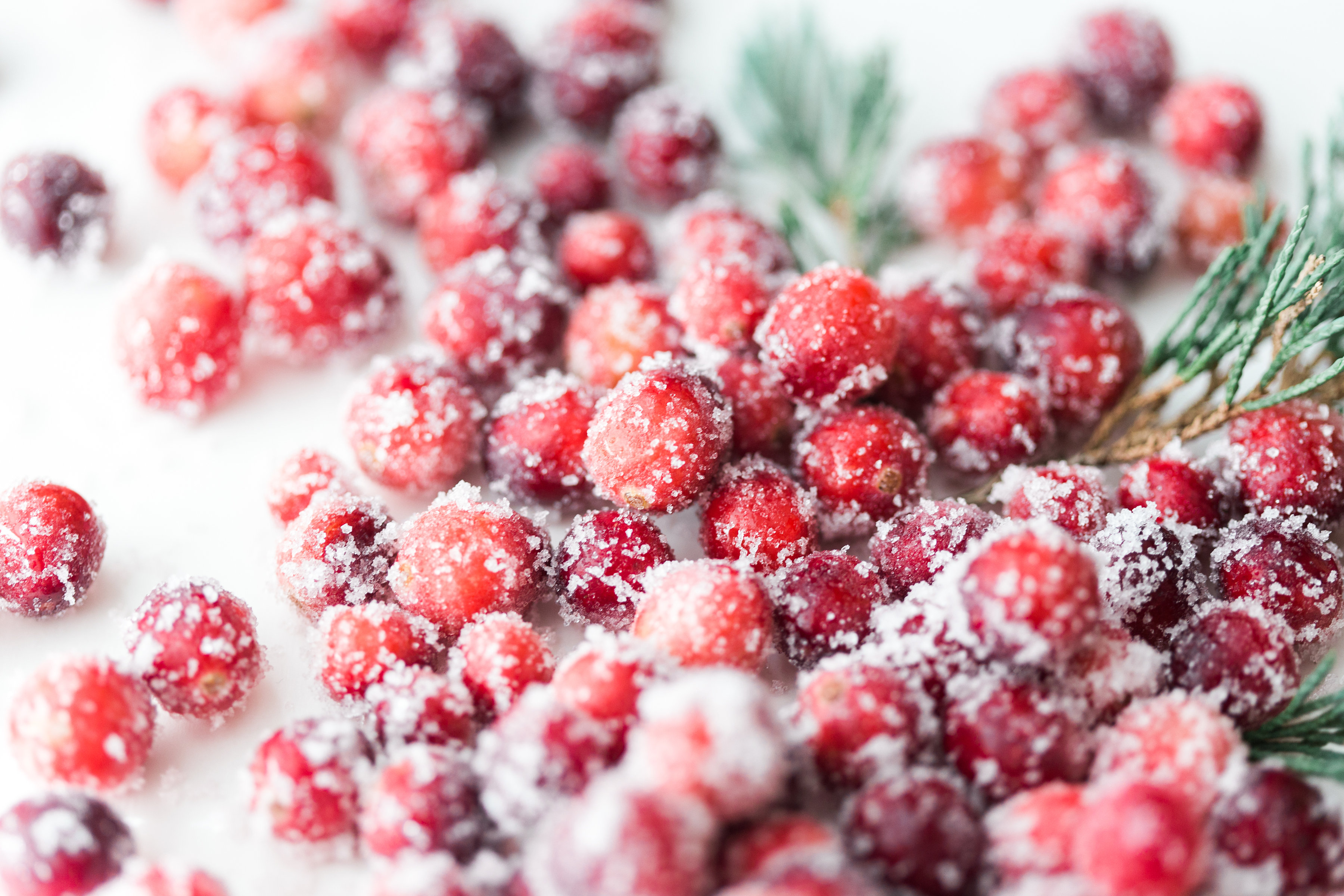 How to Make Sugared Cranberries for the Holidays Glitter