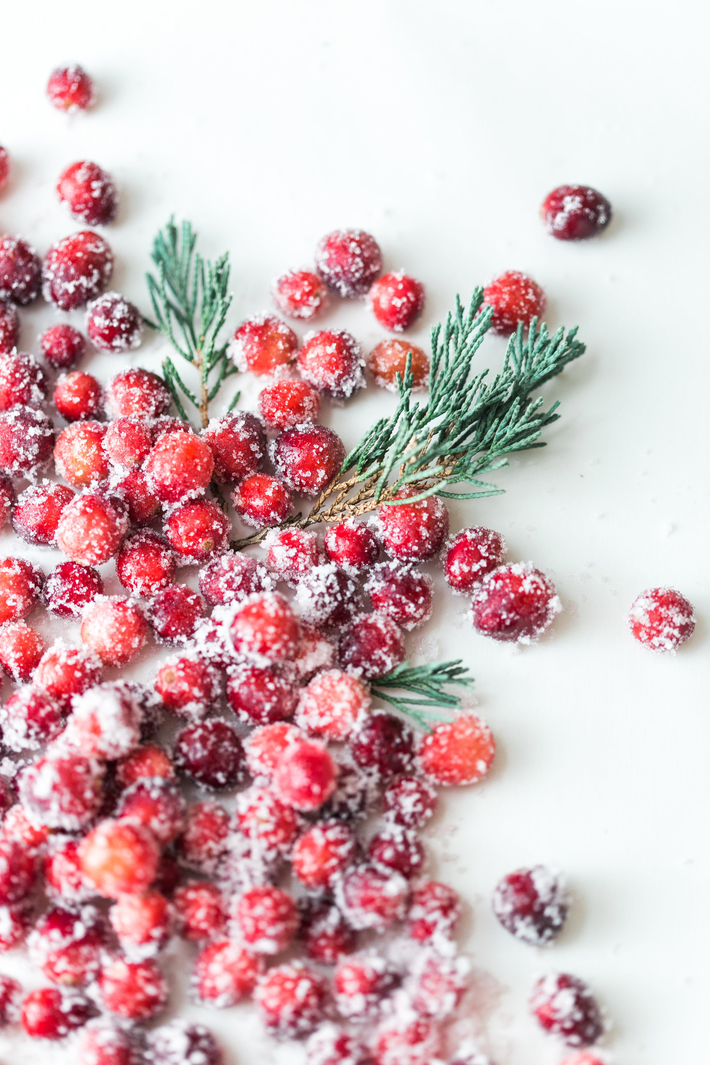 How to make sparkling sugared cranberries for the Holidays that are super simple to make (just two ingredients!) and perfect for dressing up desserts, cheese boards, and cocktails! | glitterinc.com | @glitterinc