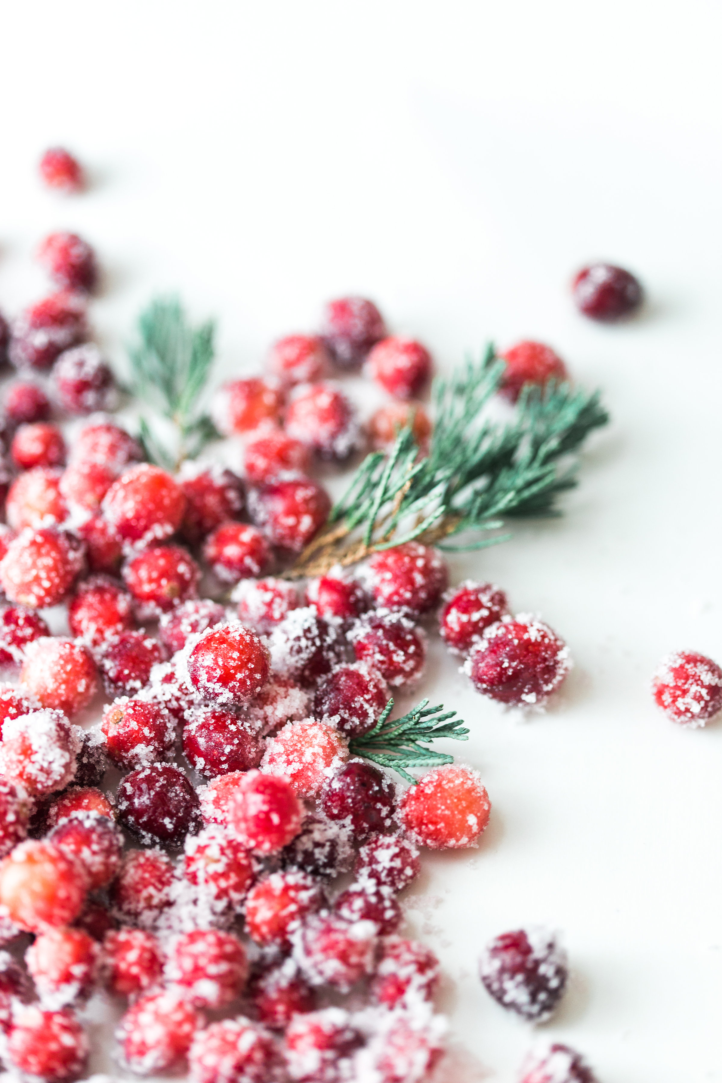 How to make sparkling sugared cranberries for the Holidays that are super simple to make (just two ingredients!) and perfect for dressing up desserts, cheese boards, and cocktails! | glitterinc.com | @glitterinc