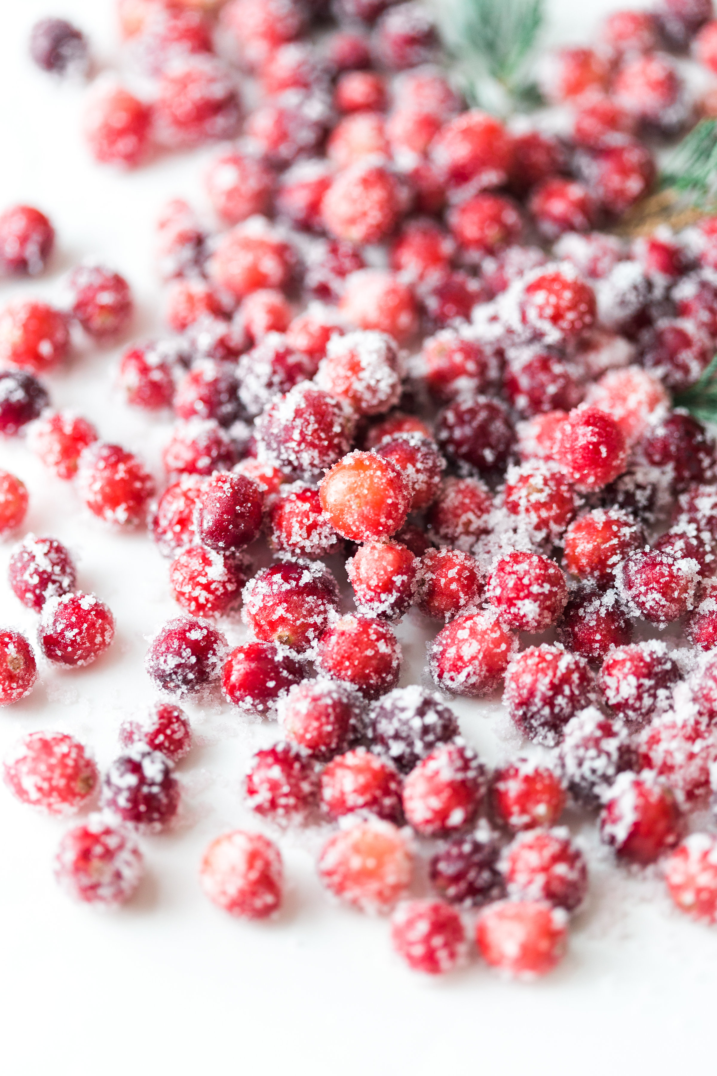 How to make sparkling sugared cranberries for the Holidays that are super simple to make (just two ingredients!) and perfect for dressing up desserts, cheese boards, and cocktails! | glitterinc.com | @glitterinc