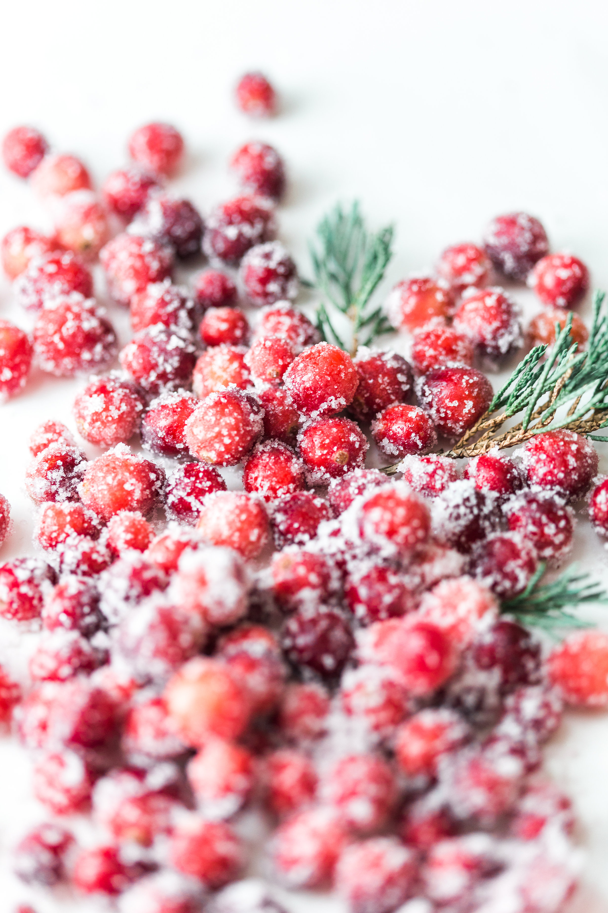 Sugared Cranberries - Damn Delicious