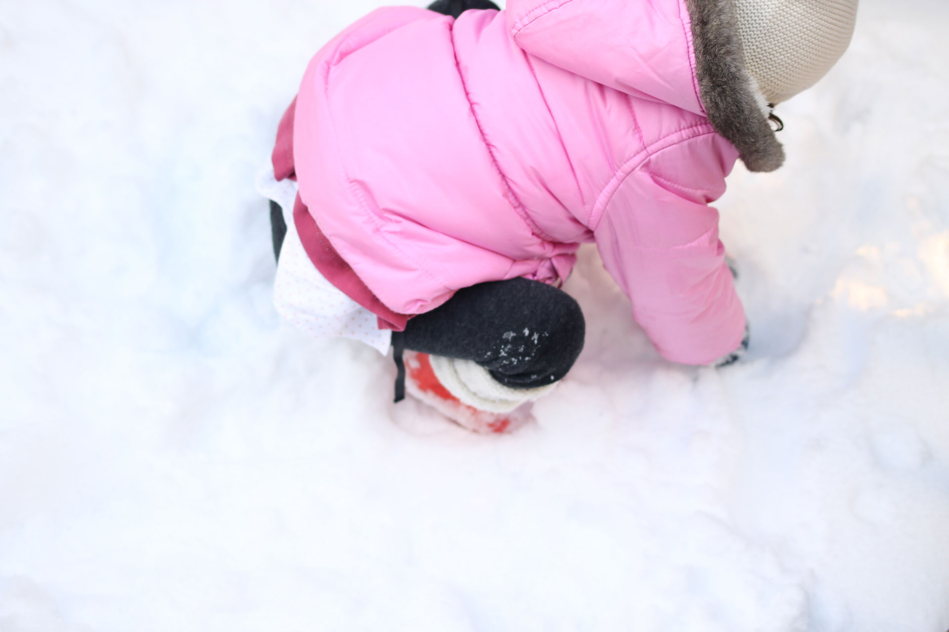 I love the traditions we're starting to make on snow day(s), like playing in the snow, making a big batch of cookies, and taking ALL of the pictures. | glitterinc.com | @glitterinc