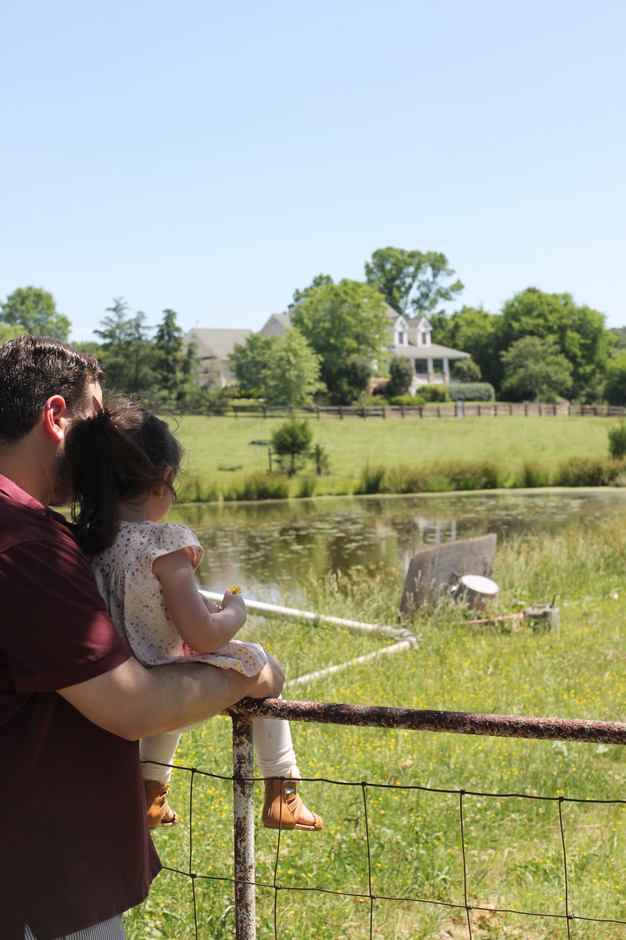 Exploring Durham: Strawberry Picking at Waller Family Farm in North Carolina by lifestyle blogger Lexi of Glitter, Inc. | glitterinc.com | @glitterinc