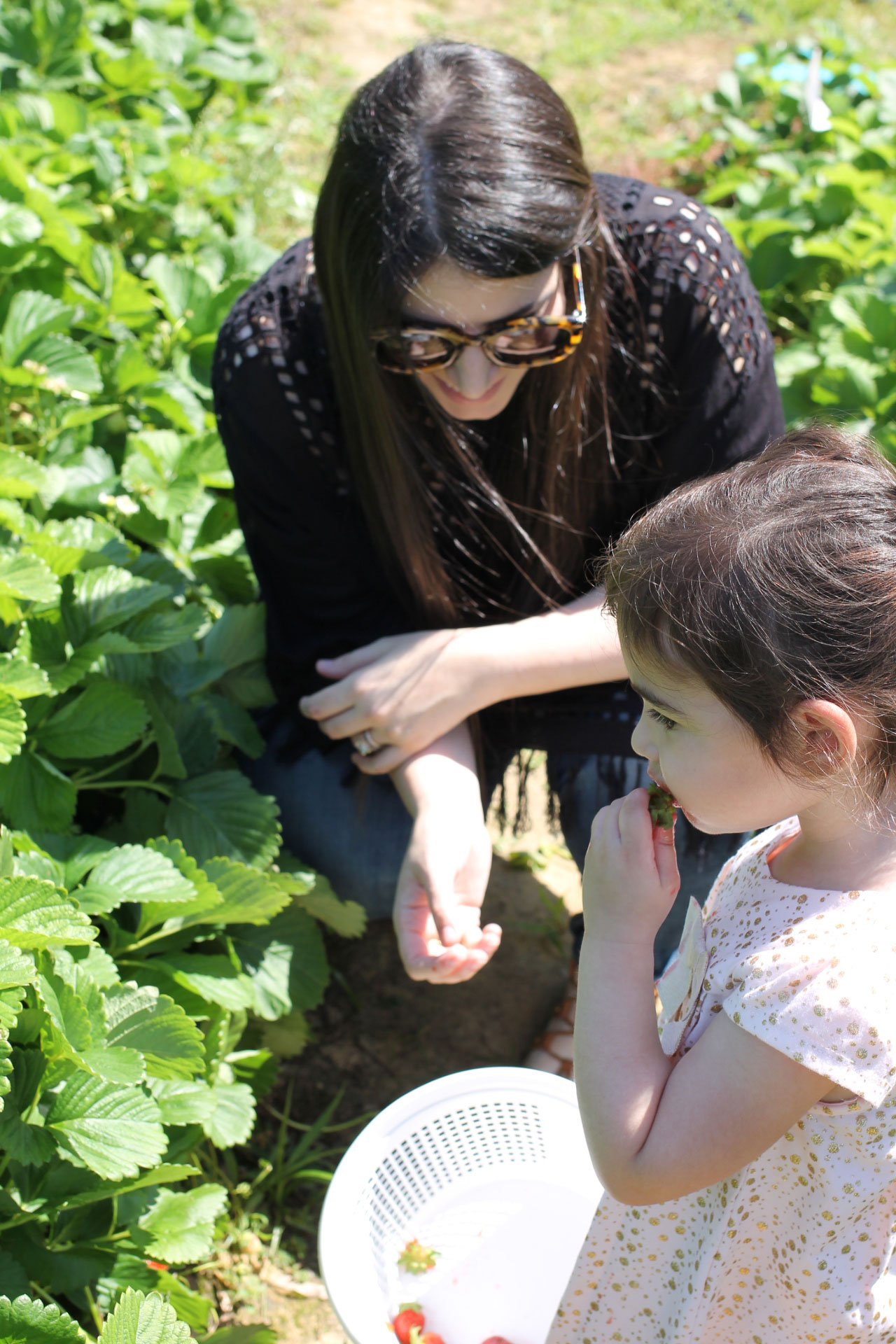 Exploring Durham: Strawberry Picking at Waller Family Farm in North Carolina by lifestyle blogger Lexi of Glitter, Inc. | glitterinc.com | @glitterinc