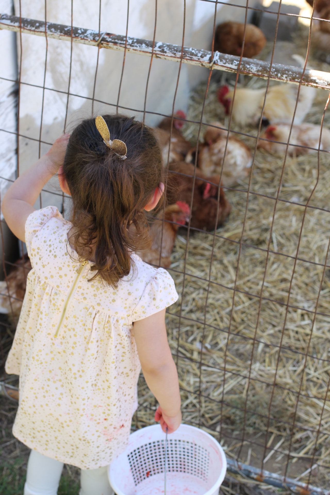 Exploring Durham: Strawberry Picking at Waller Family Farm in North Carolina by lifestyle blogger Lexi of Glitter, Inc. | glitterinc.com | @glitterinc