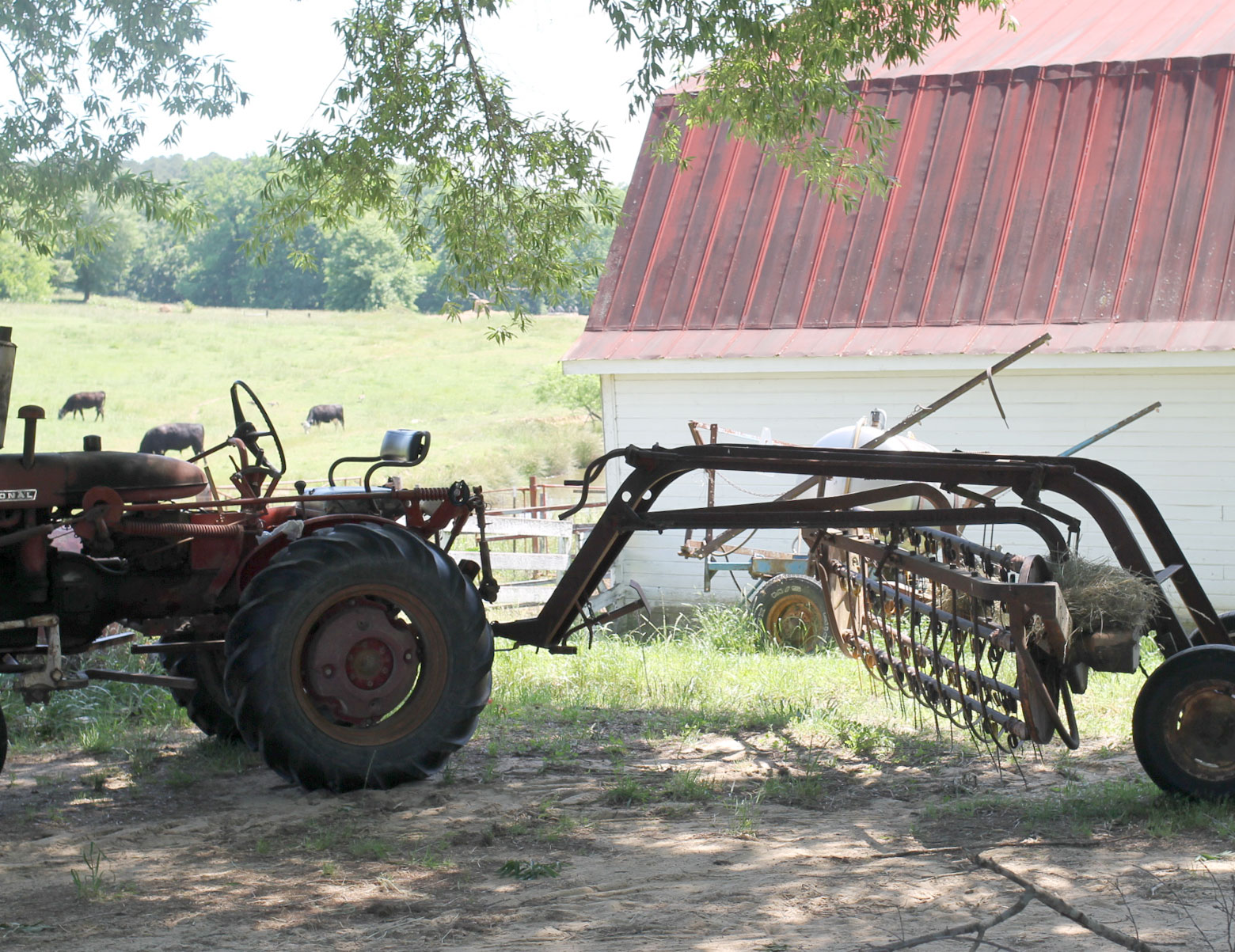 Exploring Durham: Strawberry Picking at Waller Family Farm in North Carolina by lifestyle blogger Lexi of Glitter, Inc. | glitterinc.com | @glitterinc