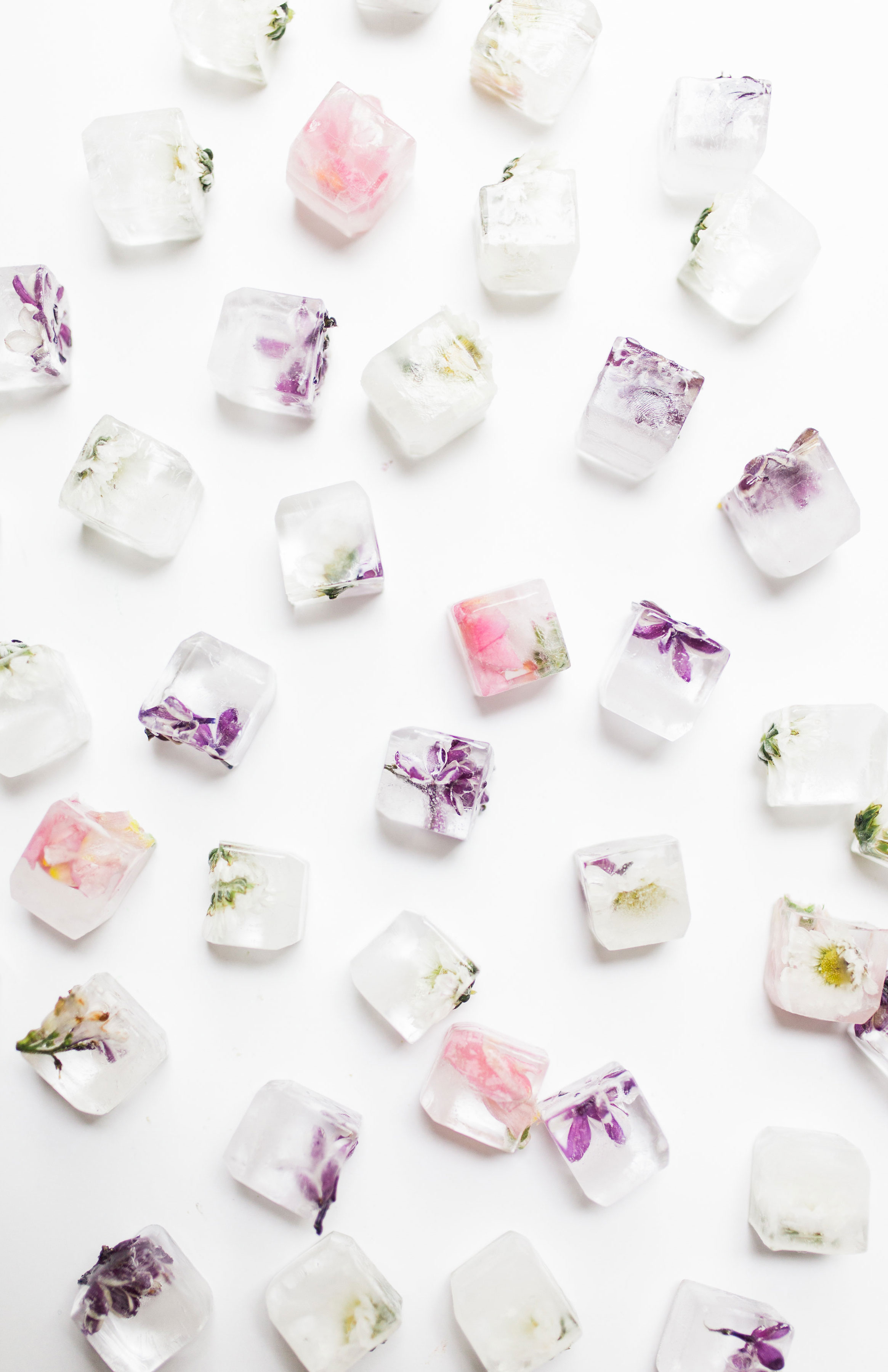 How to make the prettiest simple DIY floral ice cubes using fresh flowers for your next party. | glitterinc.com | @glitterinc