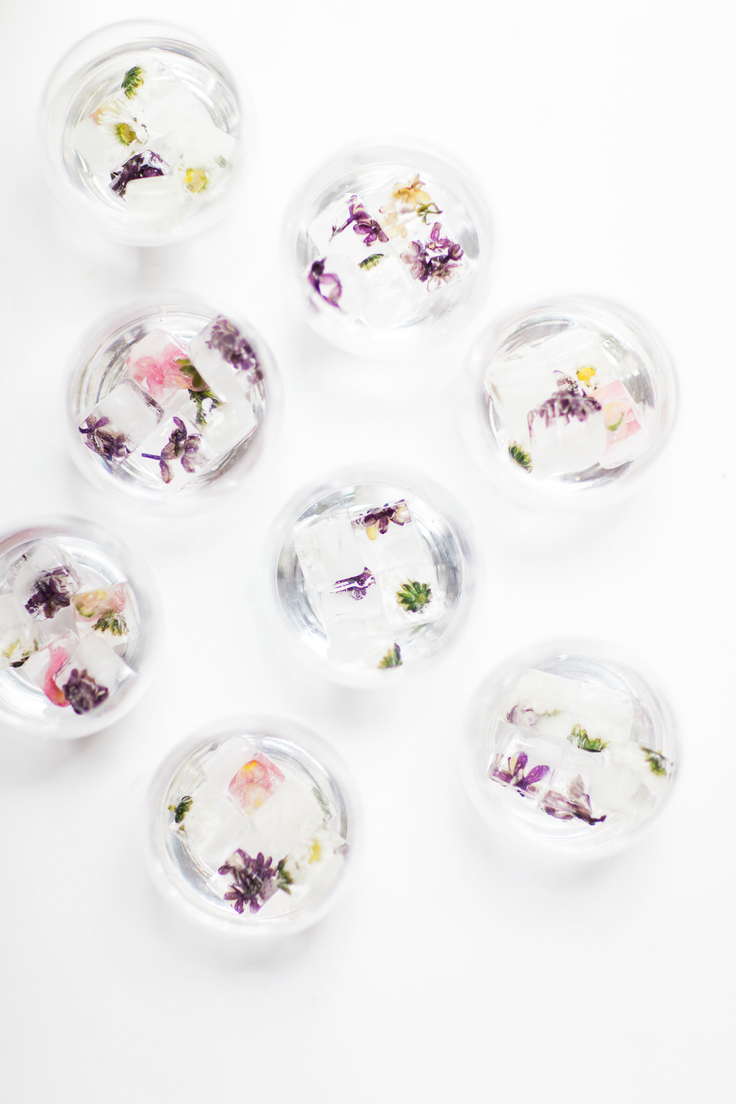 How to make the prettiest simple DIY floral ice cubes using fresh flowers for your next party. | glitterinc.com | @glitterinc
