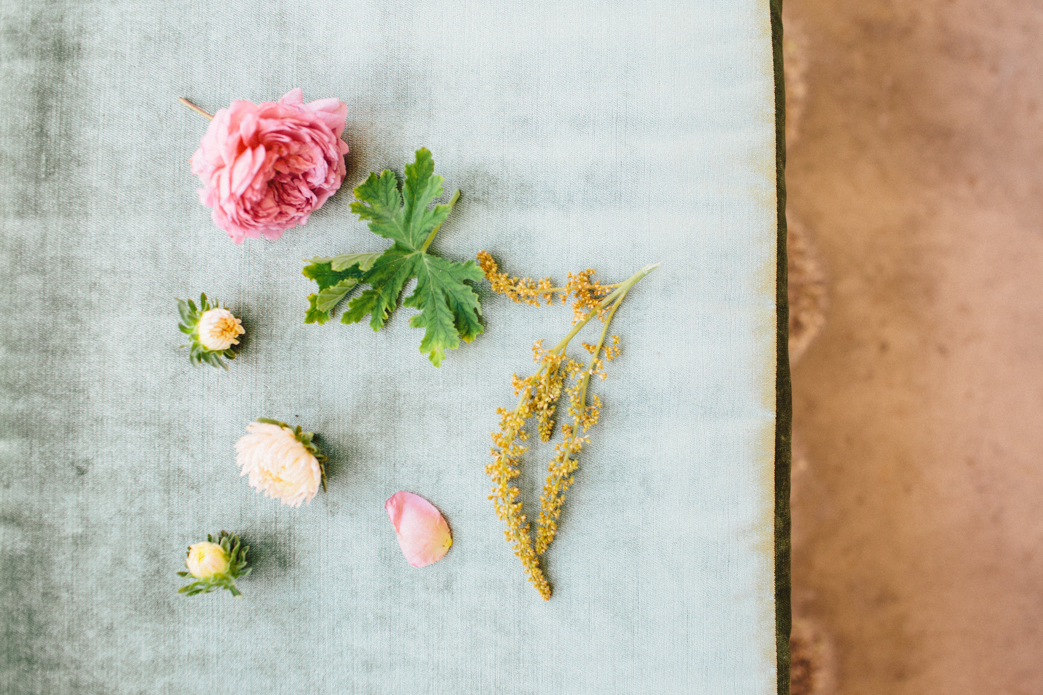 A simple early fall gathering to remember (with the most gorgeous color palette). Click through for the inspiration. | glitterinc.com | @glitterinc