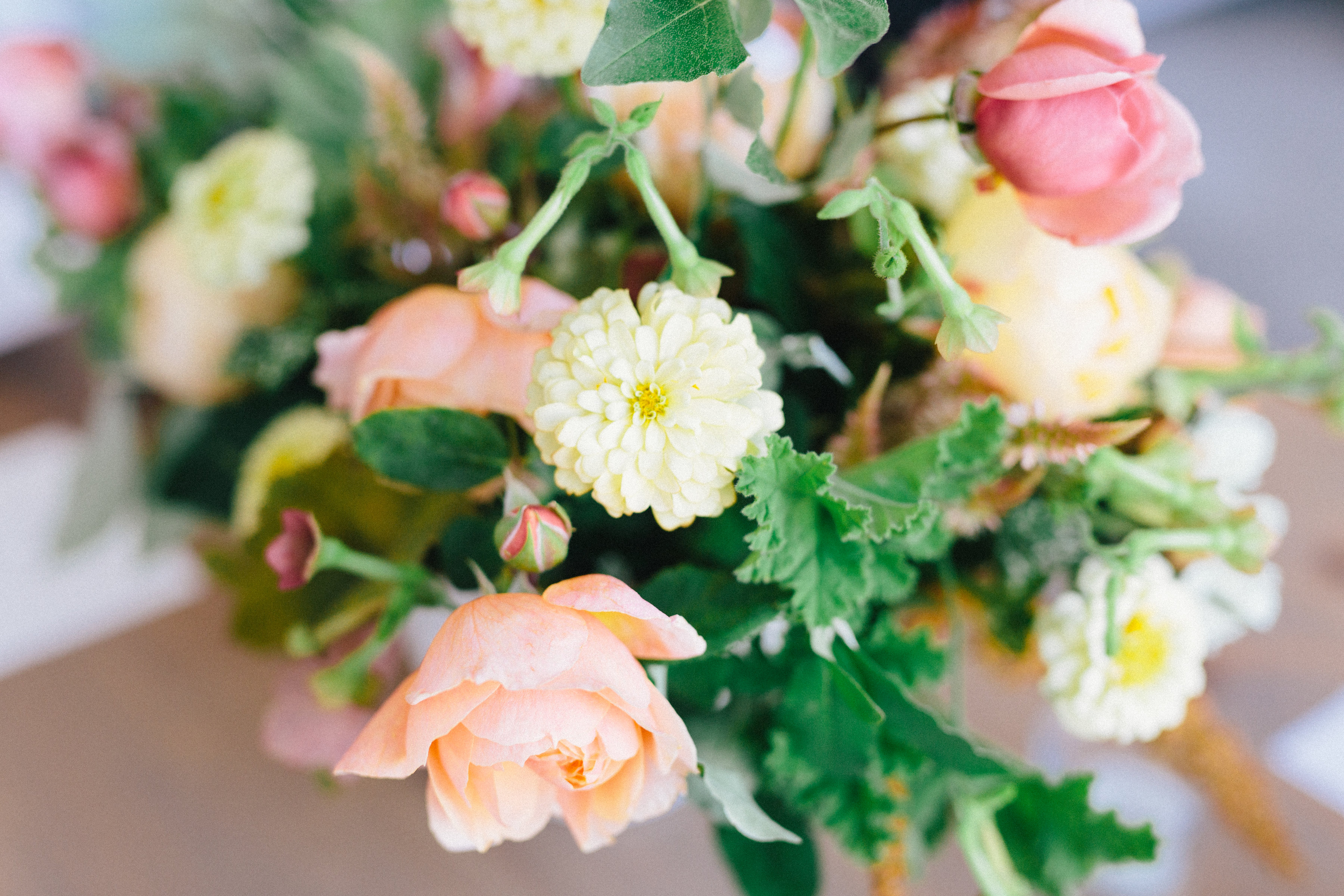 A simple early fall gathering to remember (with the most gorgeous color palette). Click through for the inspiration. | glitterinc.com | @glitterinc