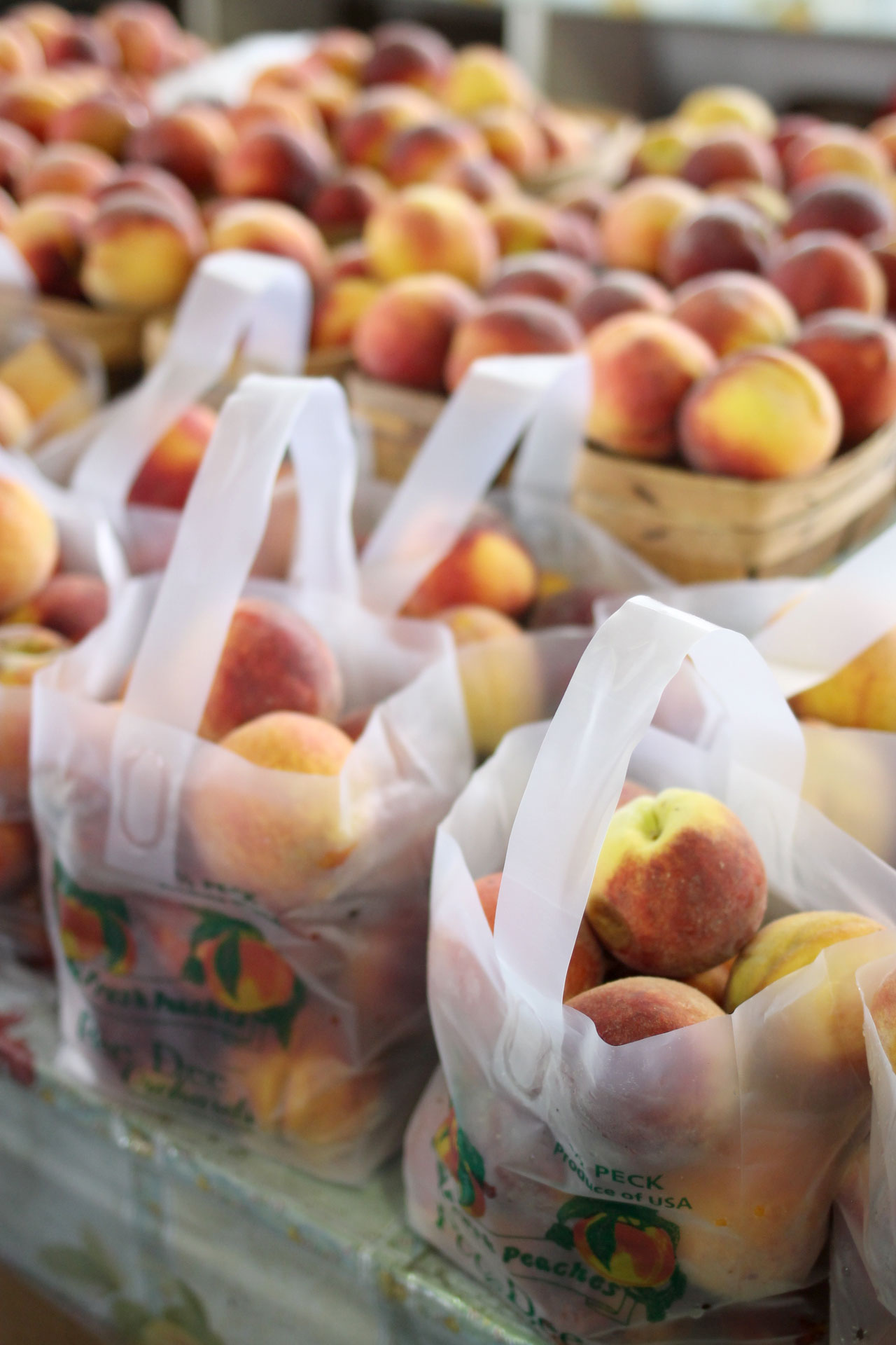 Foodie blogger Lexi of Glitter, Inc. shares a recipe for classic peach cobbler. Caramelized peaches are topped with a sugar-cookie-like doughy crust. YUM. | glitterinc.com | @glitterinc