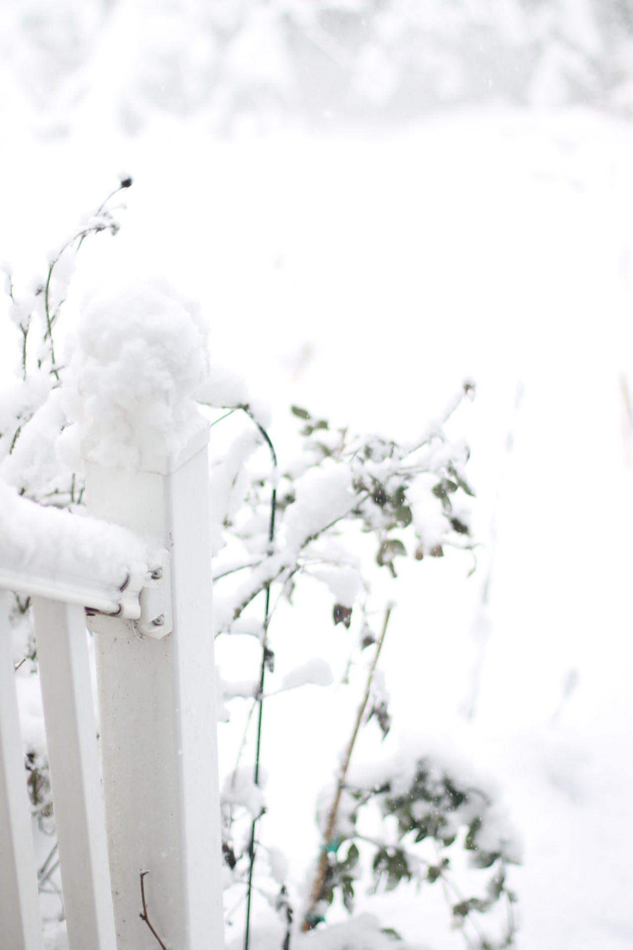 Lifestyle blogger Lexi of Glitter, Inc. shares adorable family photos from their recent snow day(s) in North Carolina. | glitterinc.com | @glitterinc - Snow Days in North Carolina by popular North Carolina lifestyle blogger Glitter, Inc.