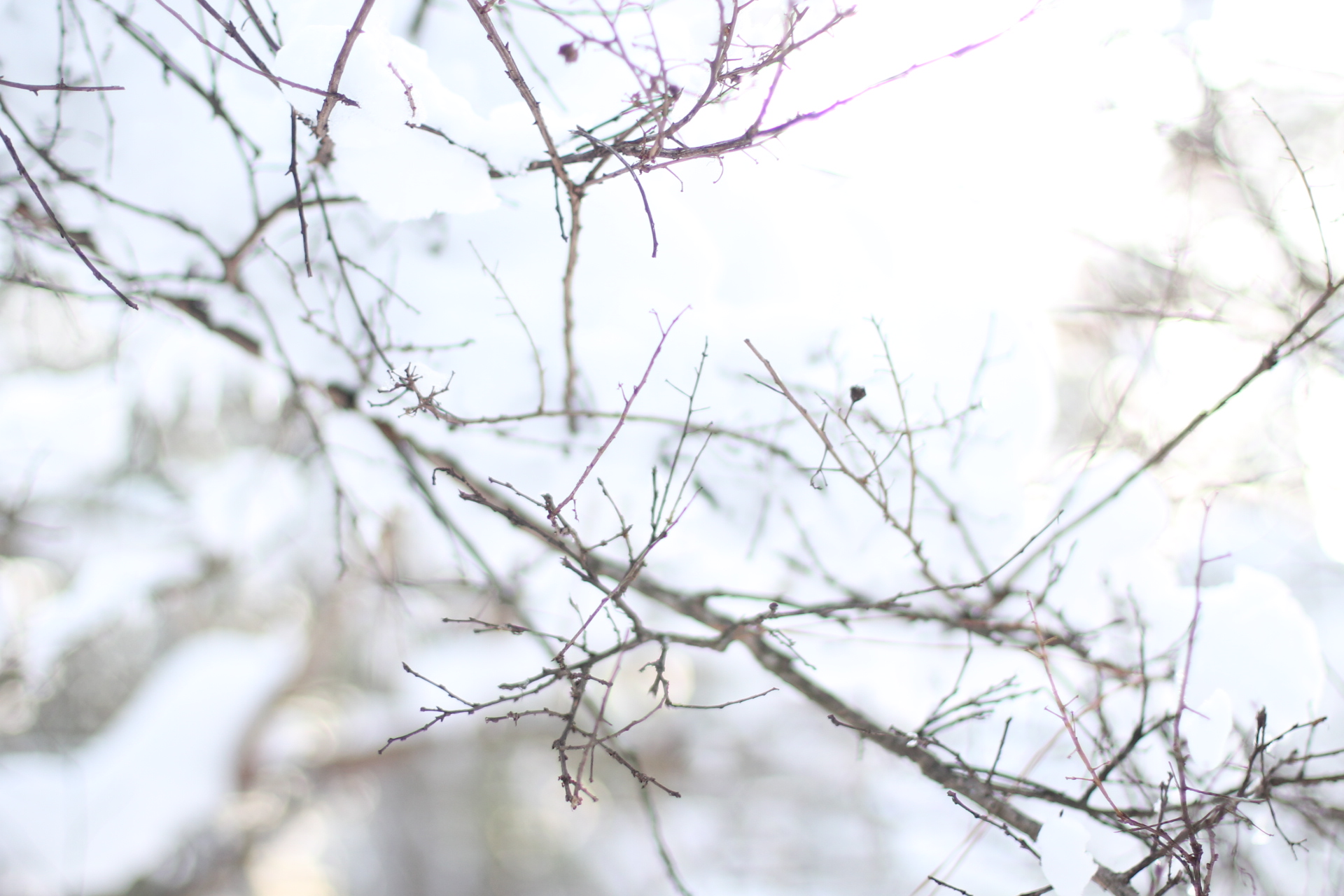 Lifestyle blogger Lexi of Glitter, Inc. shares adorable family photos from their recent snow day(s) in North Carolina. | glitterinc.com | @glitterinc - Snow Days in North Carolina by popular North Carolina lifestyle blogger Glitter, Inc.