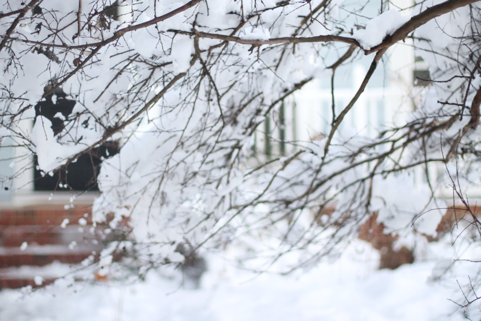 Lifestyle blogger Lexi of Glitter, Inc. shares adorable family photos from their recent snow day(s) in North Carolina. | glitterinc.com | @glitterinc - Snow Days in North Carolina by popular North Carolina lifestyle blogger Glitter, Inc.