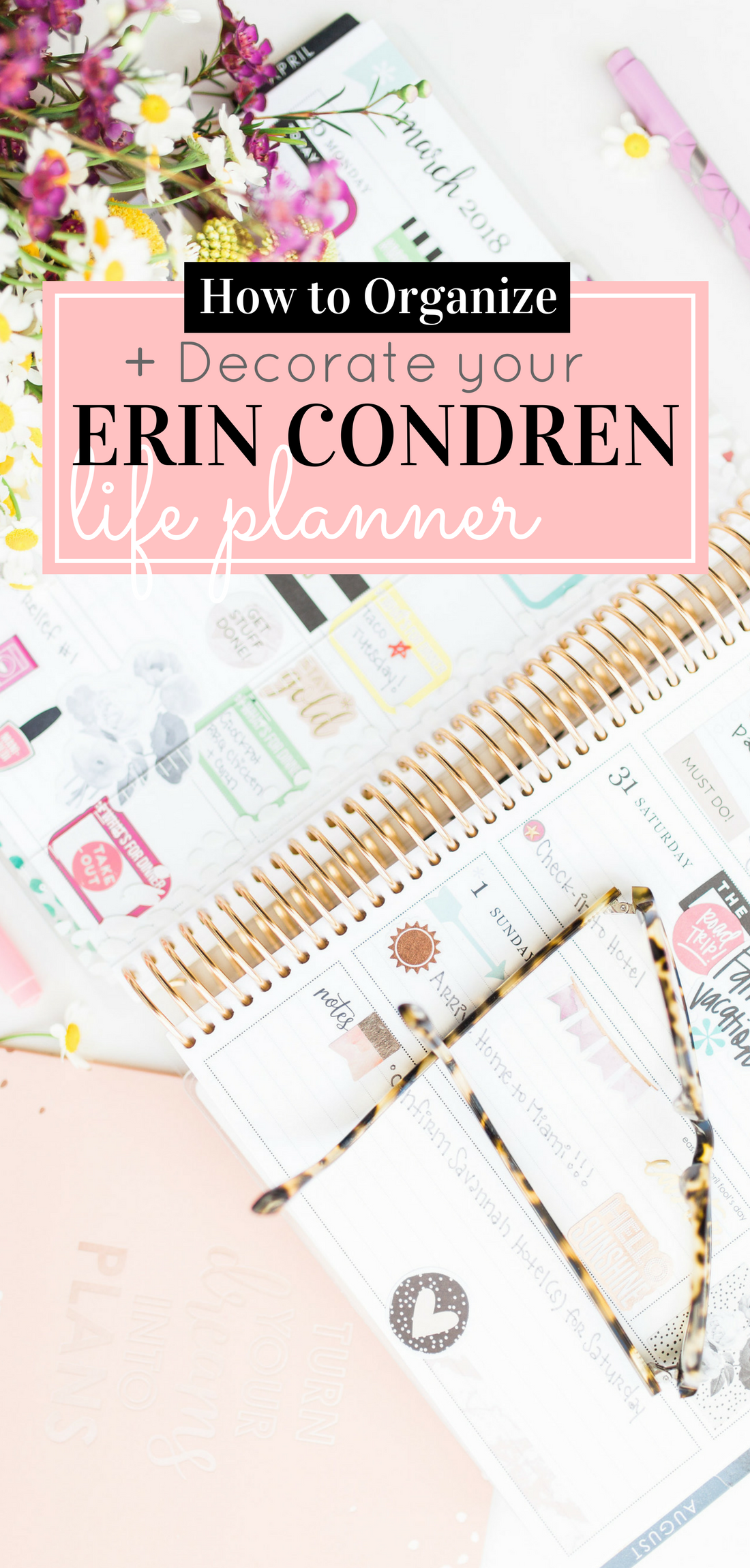 cover for the Erin Condren LifePlanner