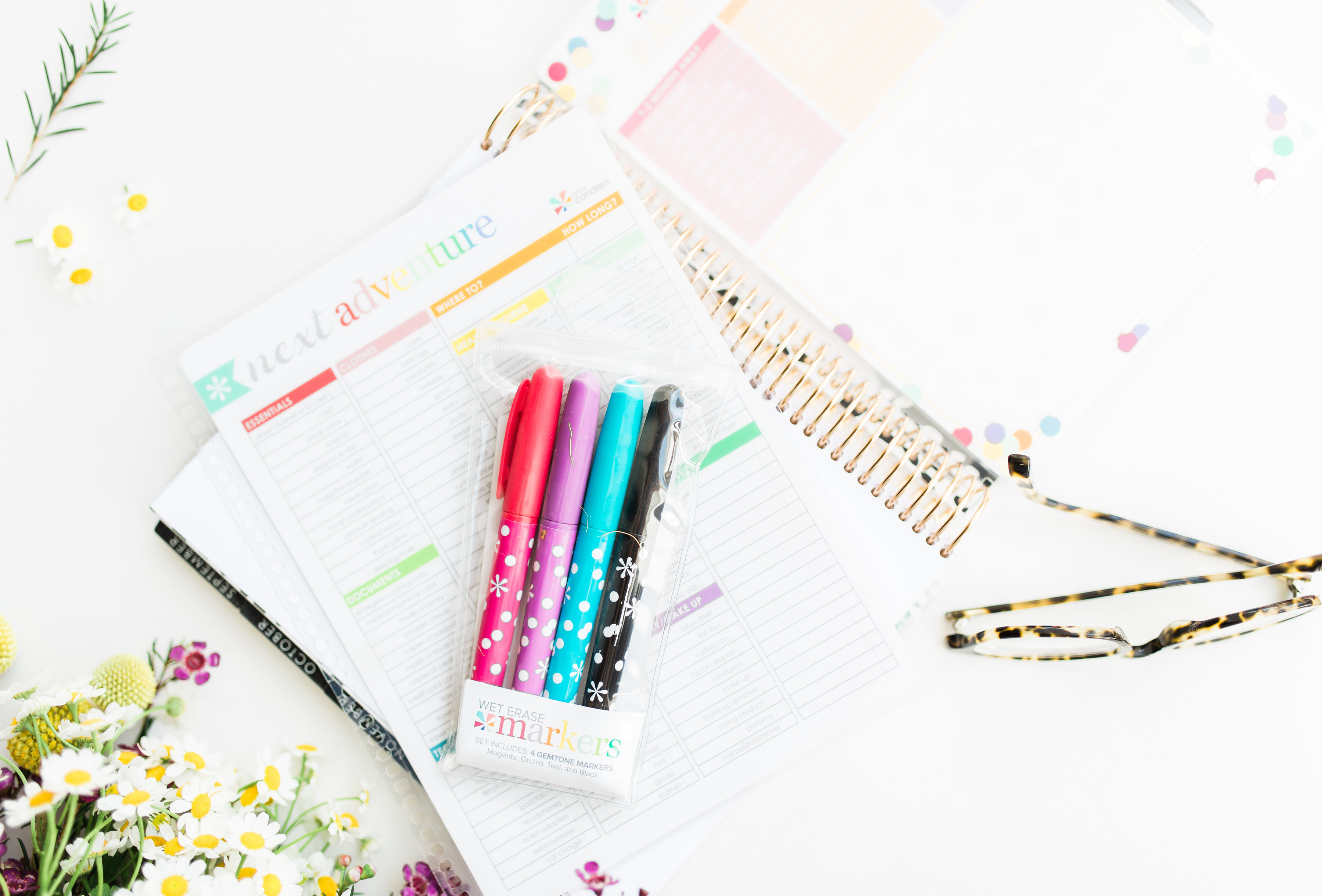 the Erin Condren LifePlanner, colored markers, and animal print eyeglasses 