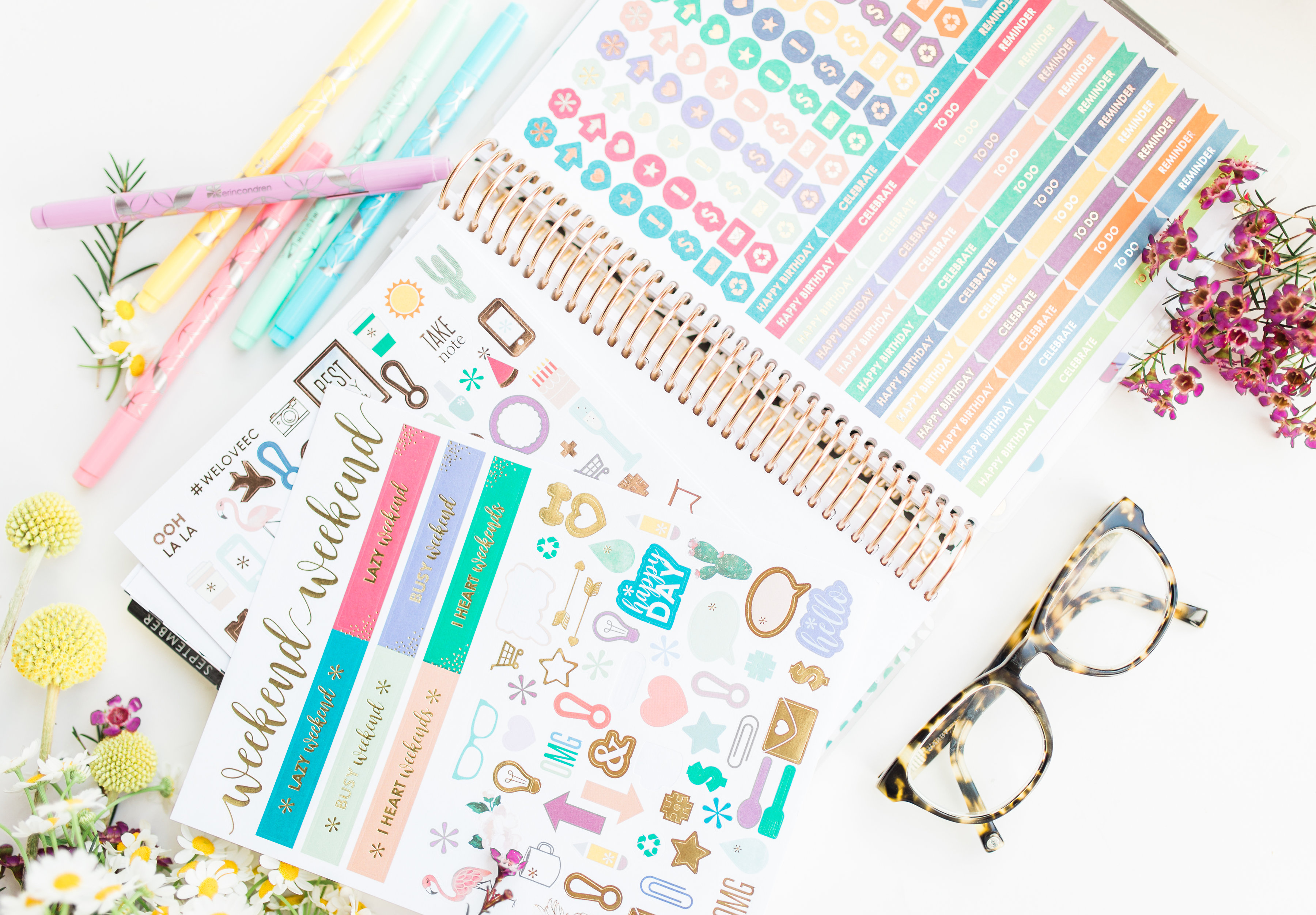 stickers from the Erin Condren LifePlanner