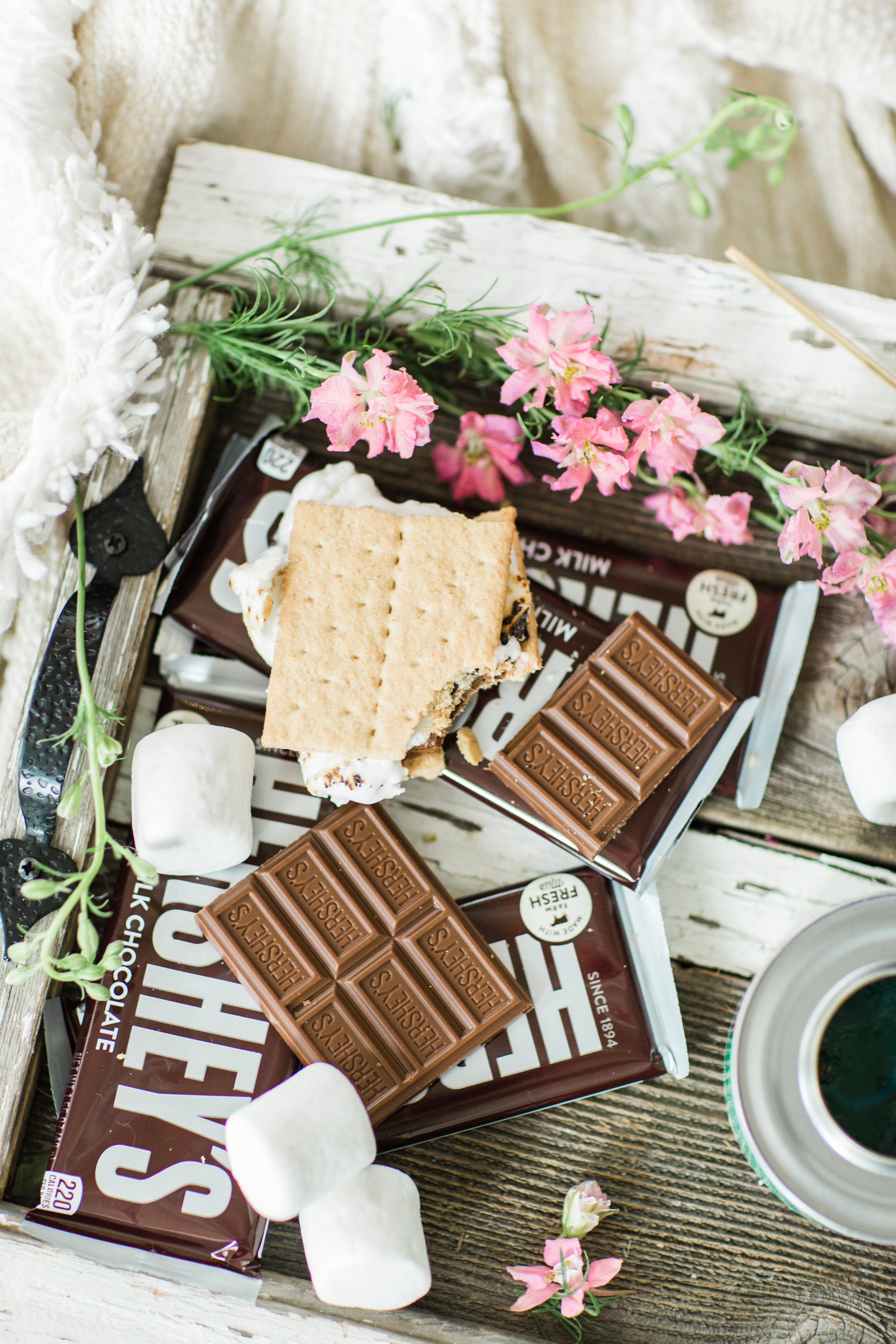 Want to plan a family fun night that is perfect for your gang this summer? Turn your living room into a campy lounge for an epic movie night with the kids, complete with indoor s’mores! #smores #indoorsmores #movienight #familynight #familyfun | glitterinc.com | @glitterinc