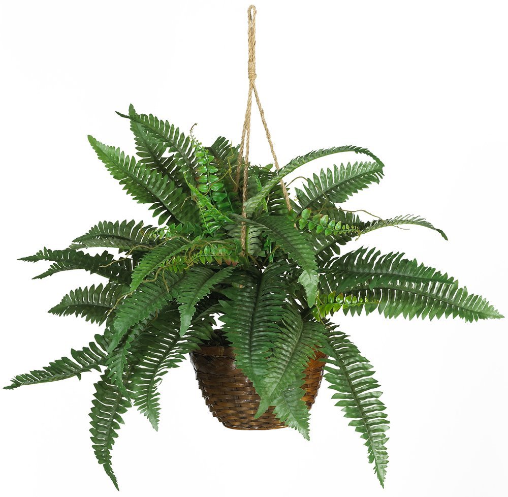 Nearly Natural Boston Fern Silk Hanging Basket