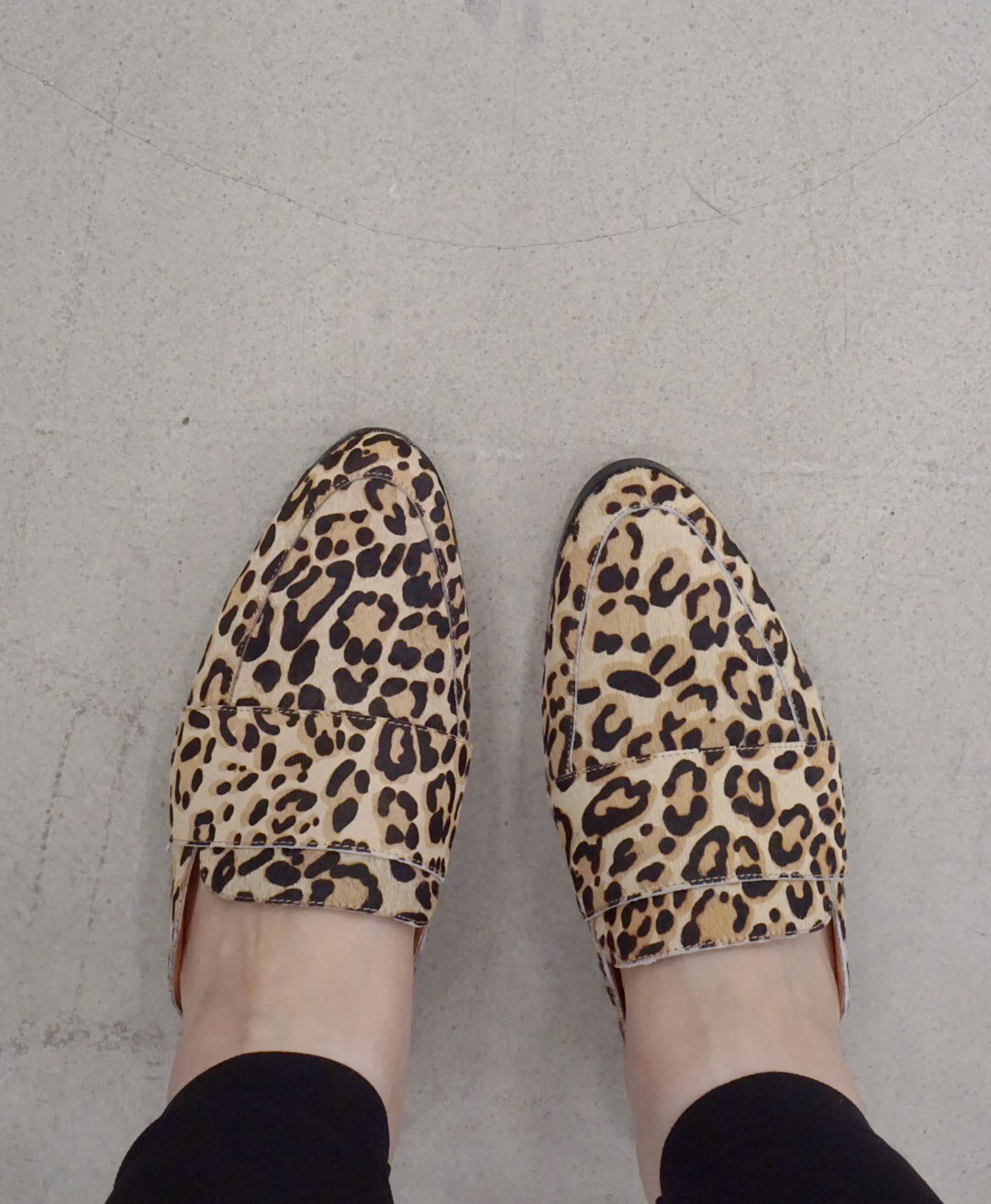 halogen mules leopard