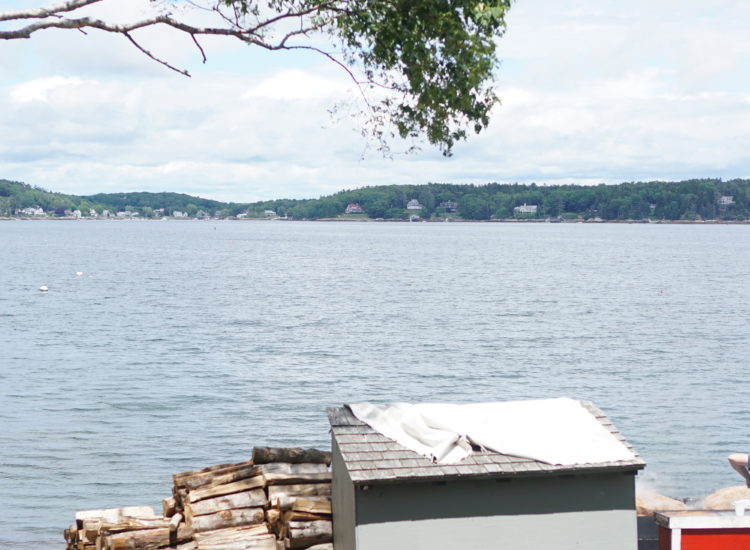 cabbage island clambakes
