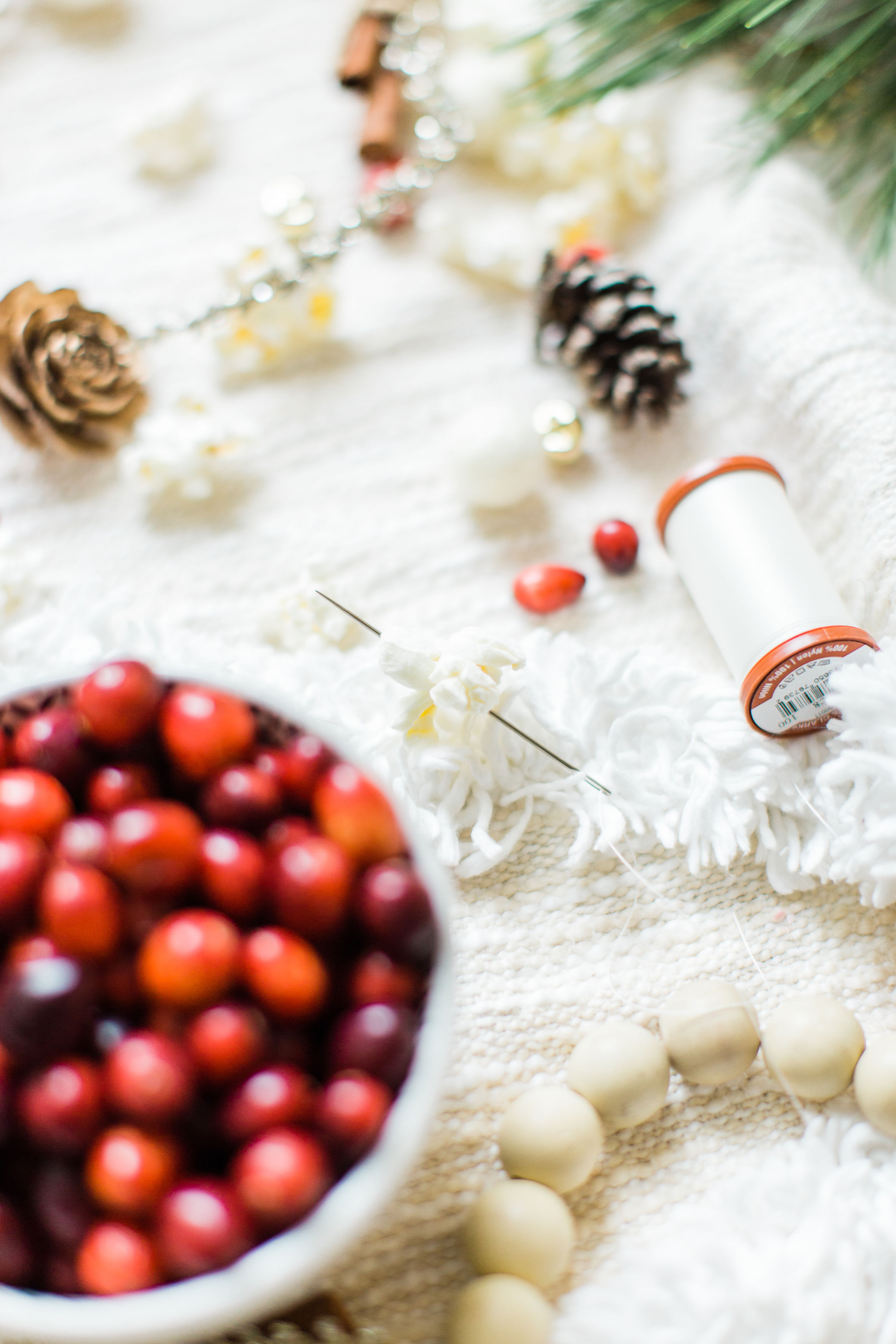 Girls Night: DIY Holiday Garland Party