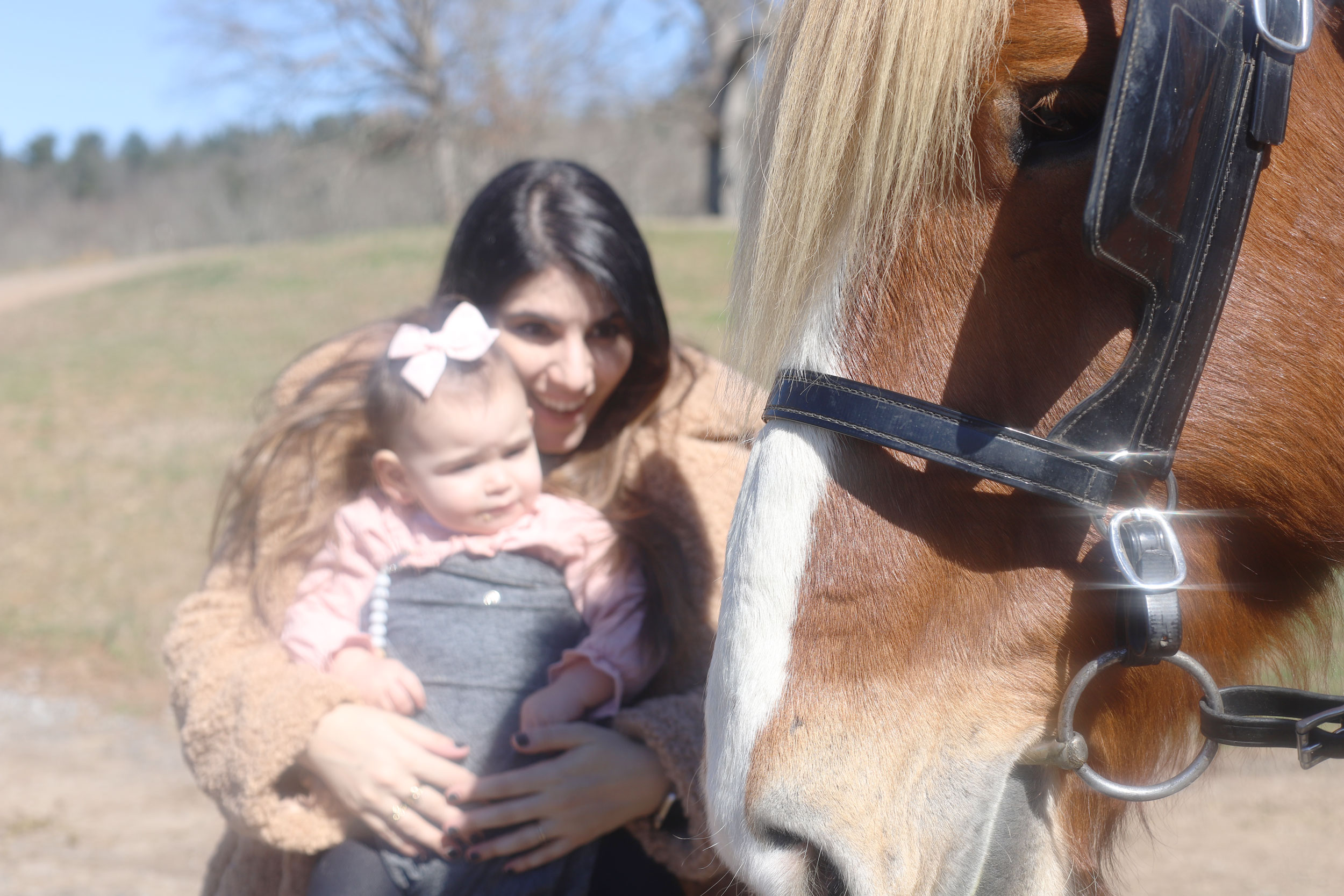 Carriage Ride from Deerpark Trail Barn