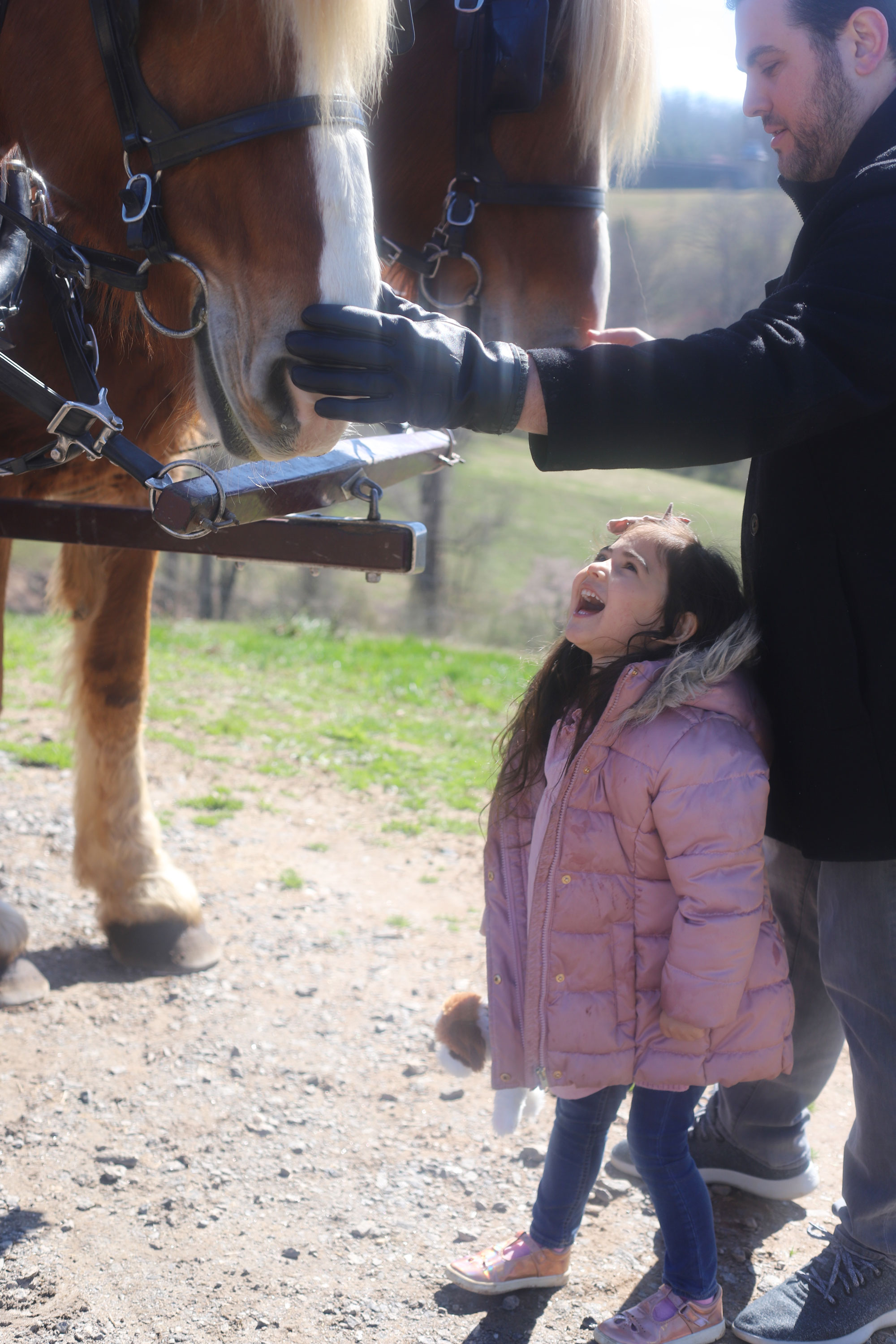 Carriage Ride from Deerpark Trail Barn | Glitter Iinc